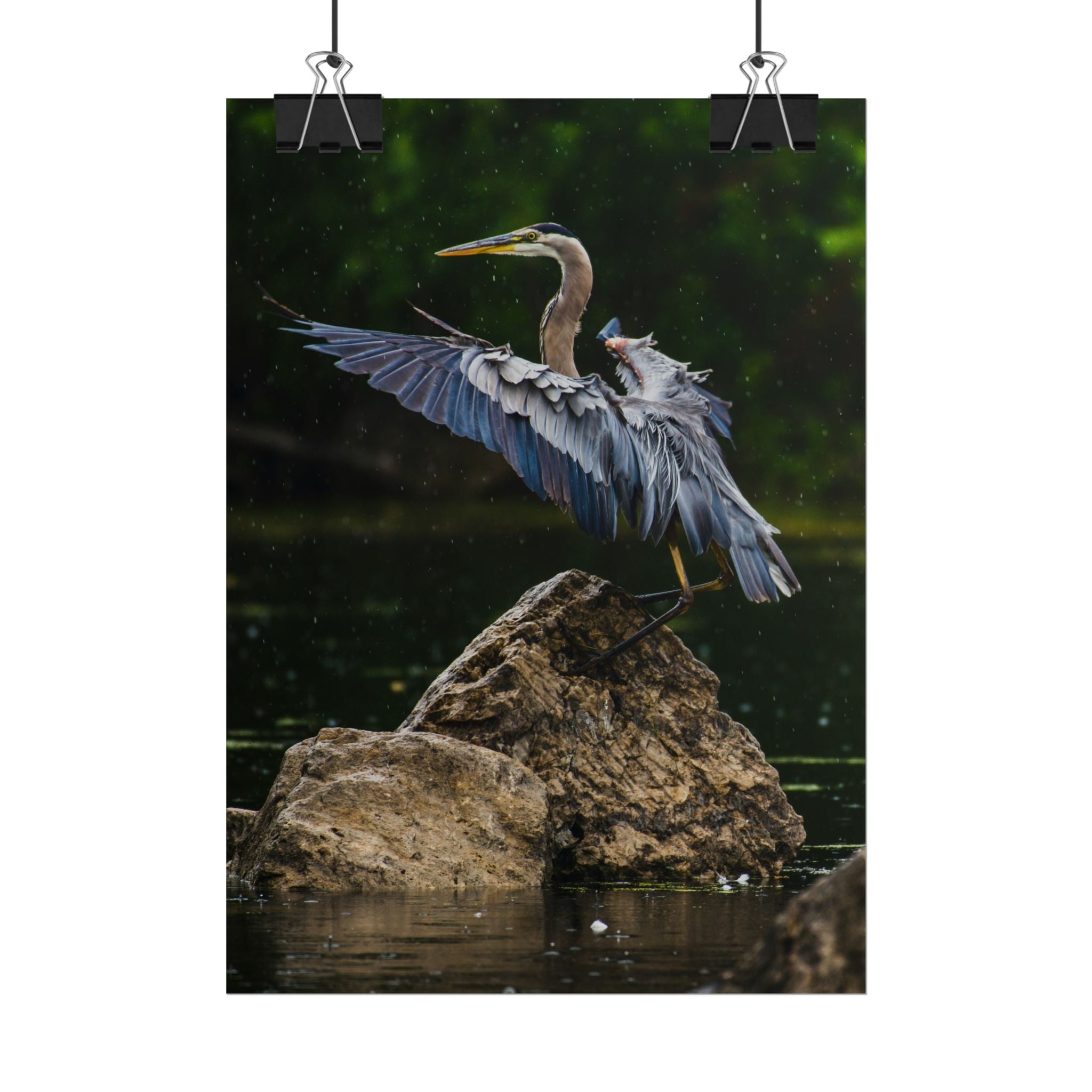 great-blue-heron-poster-wall-art-home-decor-bird-lover-gift-nature-wall-hanging-wildlife-poster