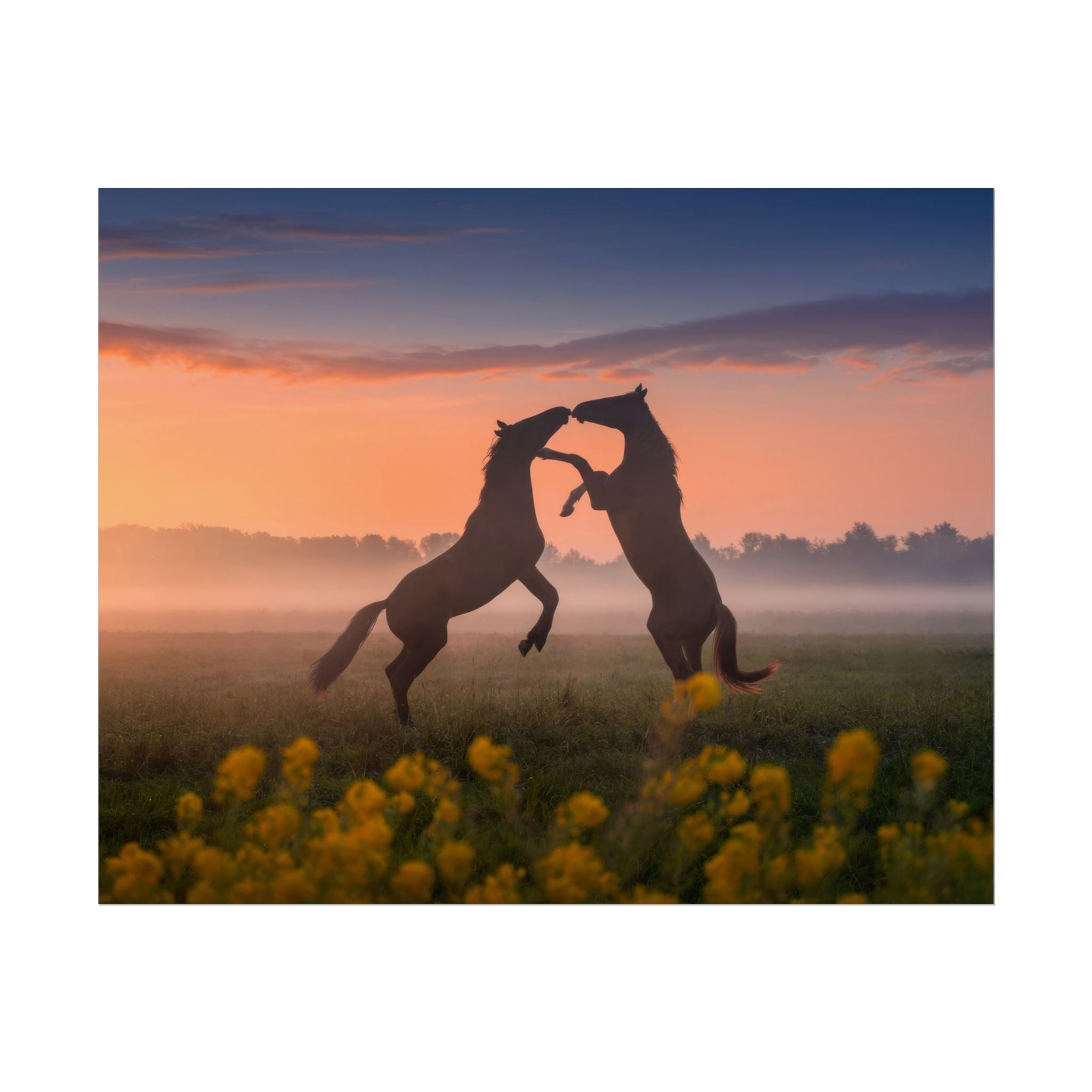 Wild Rising Horses Poster Print, Field of Flowers Decor, Home Decor, Farmhouse Wall Decor, Nature Wall Art, Horse Canvas Print, Mustang