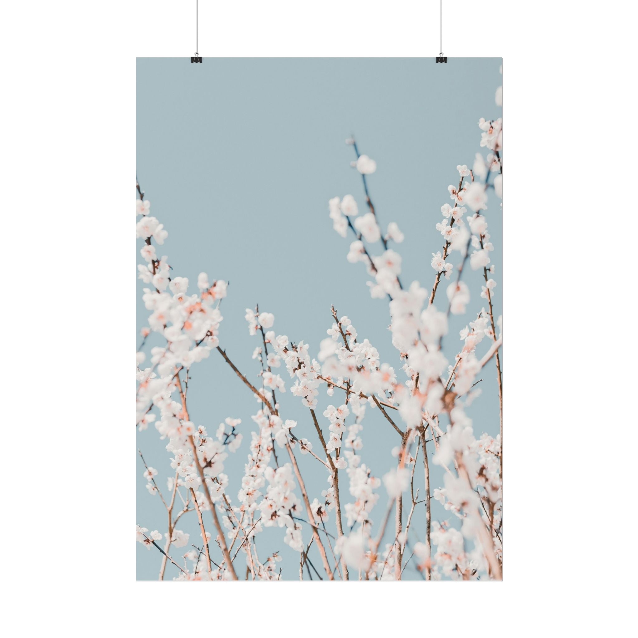 blossom-flowers-poster-print-minimalist-aesthetic-wall-art-fine-art-paper-home-decor-floral-decor-elegant-artwork
