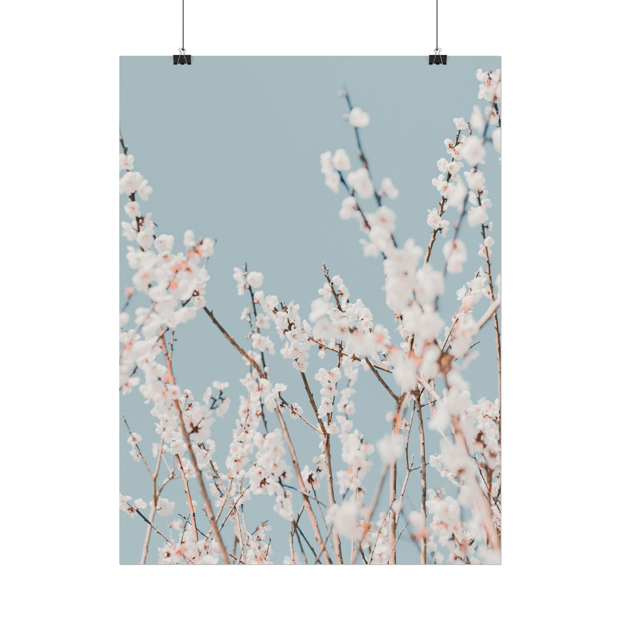 blossom-flowers-poster-print-minimalist-aesthetic-wall-art-fine-art-paper-home-decor-floral-decor-elegant-artwork