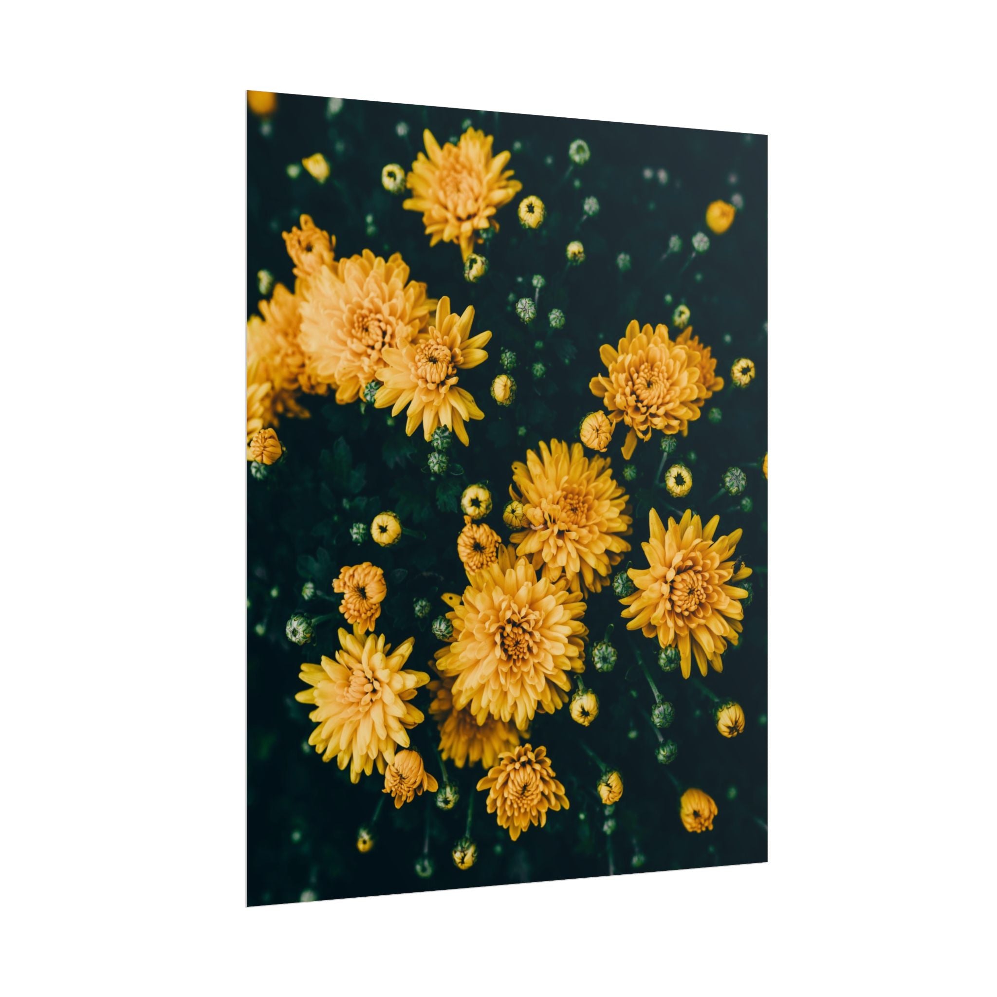 yellow-flower-art-poster-print-floral-wall-decor-floral-home-decor-gift-dark-botanical-art-print
