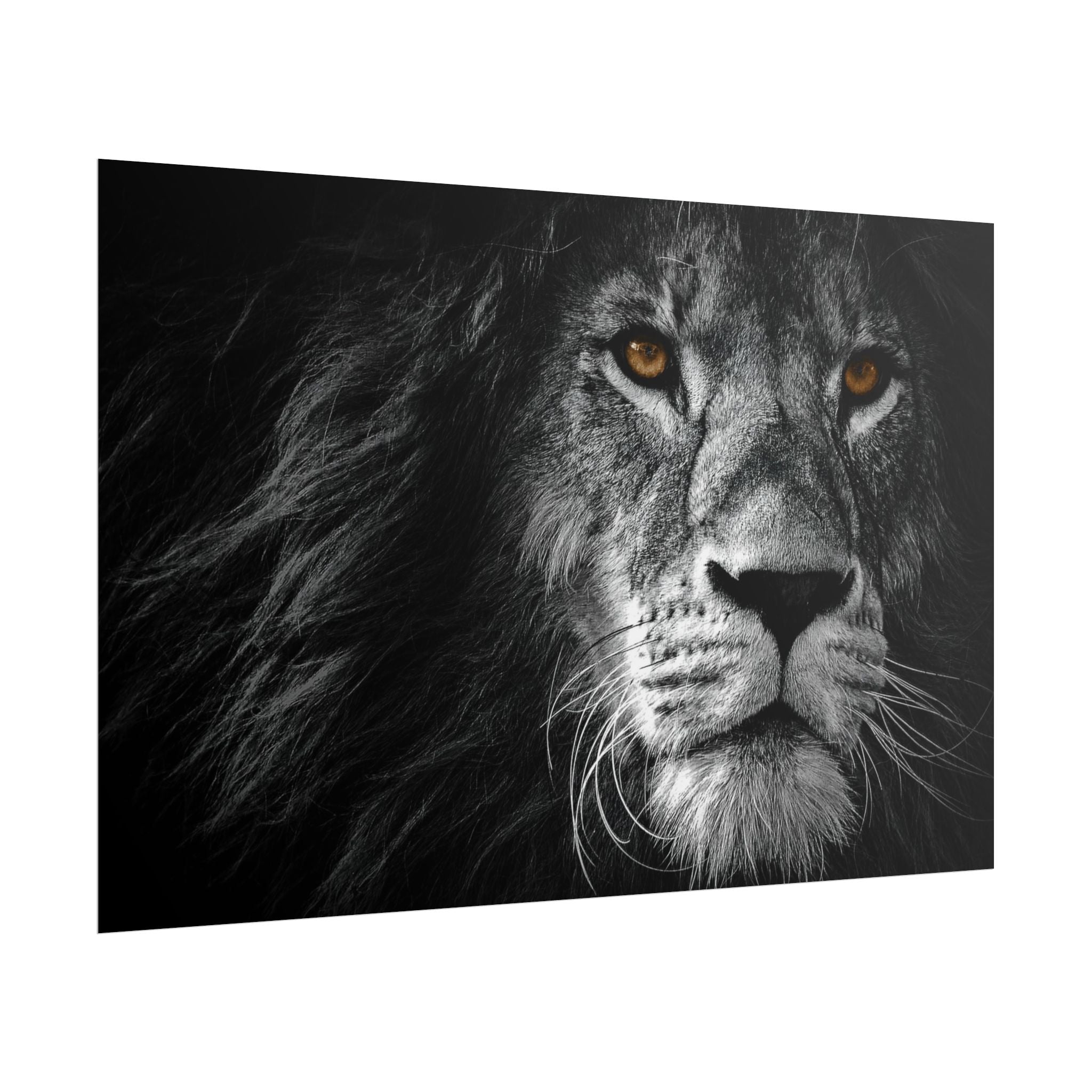 poster-print-lion-wall-art-black-and-white-monochrome-decor-living-room-decor-lion-poster-jungle-animal-art-print-wildlife-sa