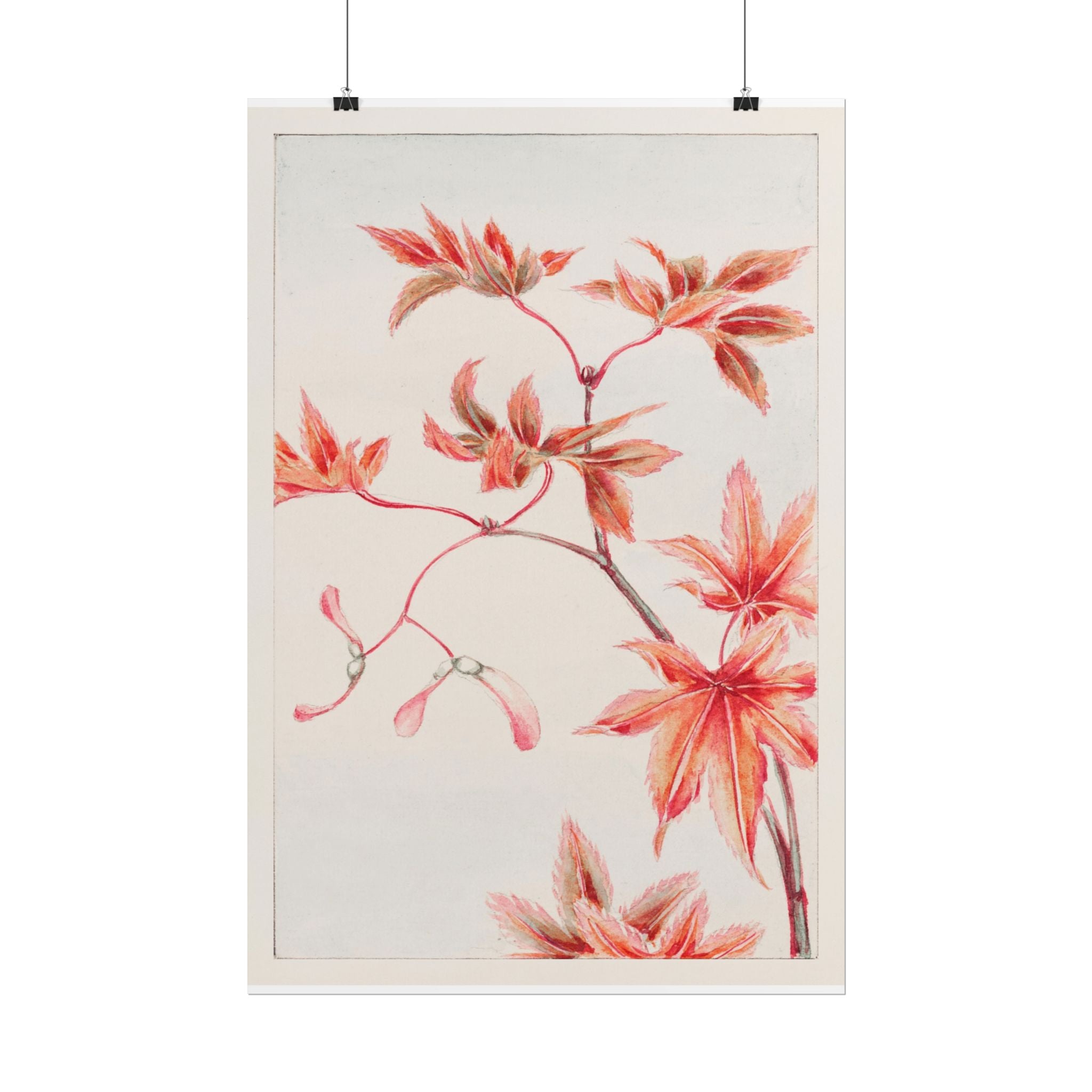 poster-print-branch-of-momiji-maple-tree-with-leaves-floral-wall-art-rolled-posters-wall-decor-room-decoration-nature-art-bot