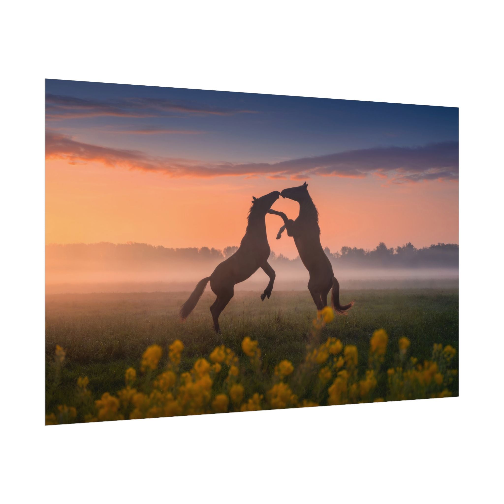 wild-rising-horses-poster-print-field-of-flowers-decor-home-decor-farmhouse-wall-decor-nature-wall-art-horse-Poster-print-mus