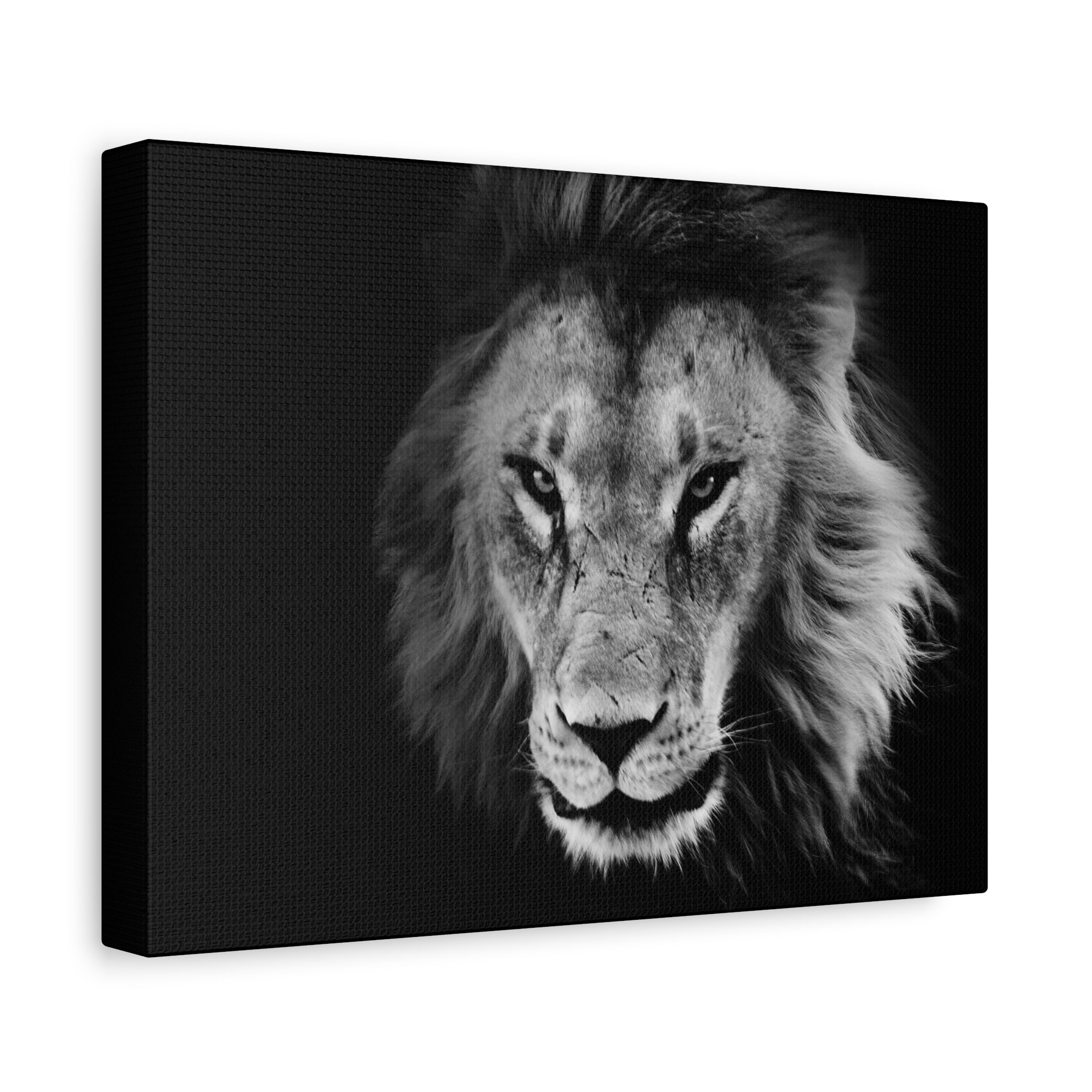 Lion Canvas Wall Art, Black and White Living Room Decor, Matte Stretched, Lion Poster, Jungle Animal Art Print, Wildlife Safari