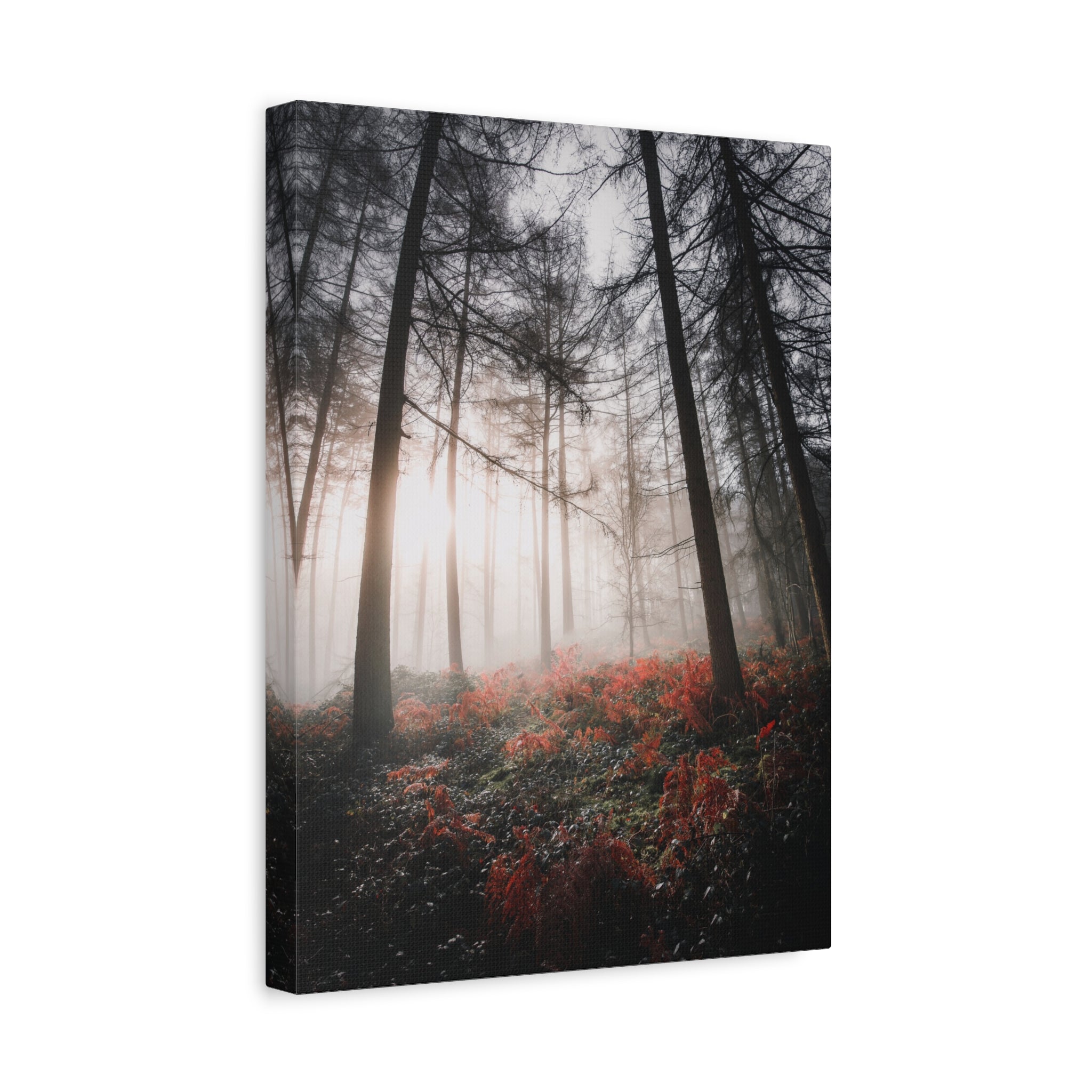canvas-print-misty-woods-art-living-room-wall-decor-sunlight-forest-landscape-aesthetic-nature-art-stretched-artwork-matte-ca
