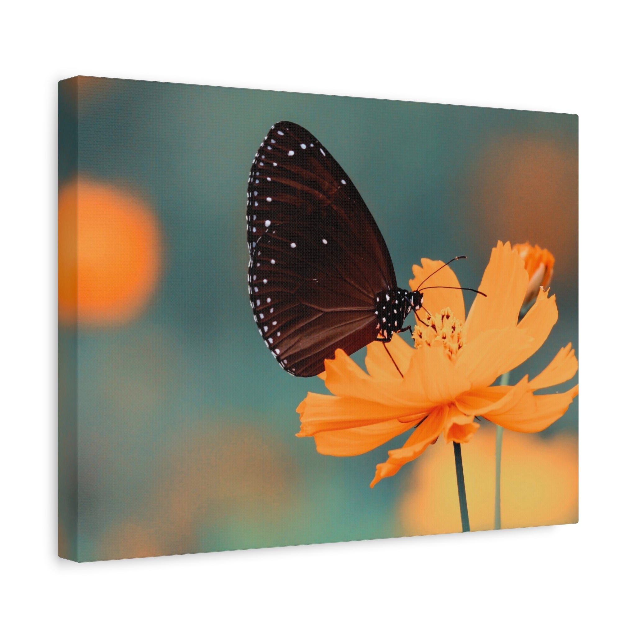 canvas-print-aesthetic-butterfly-monarch-butterfly-living-room-decor-housewarming-gift-wall-art-nature-wall-art-butterfly-dec