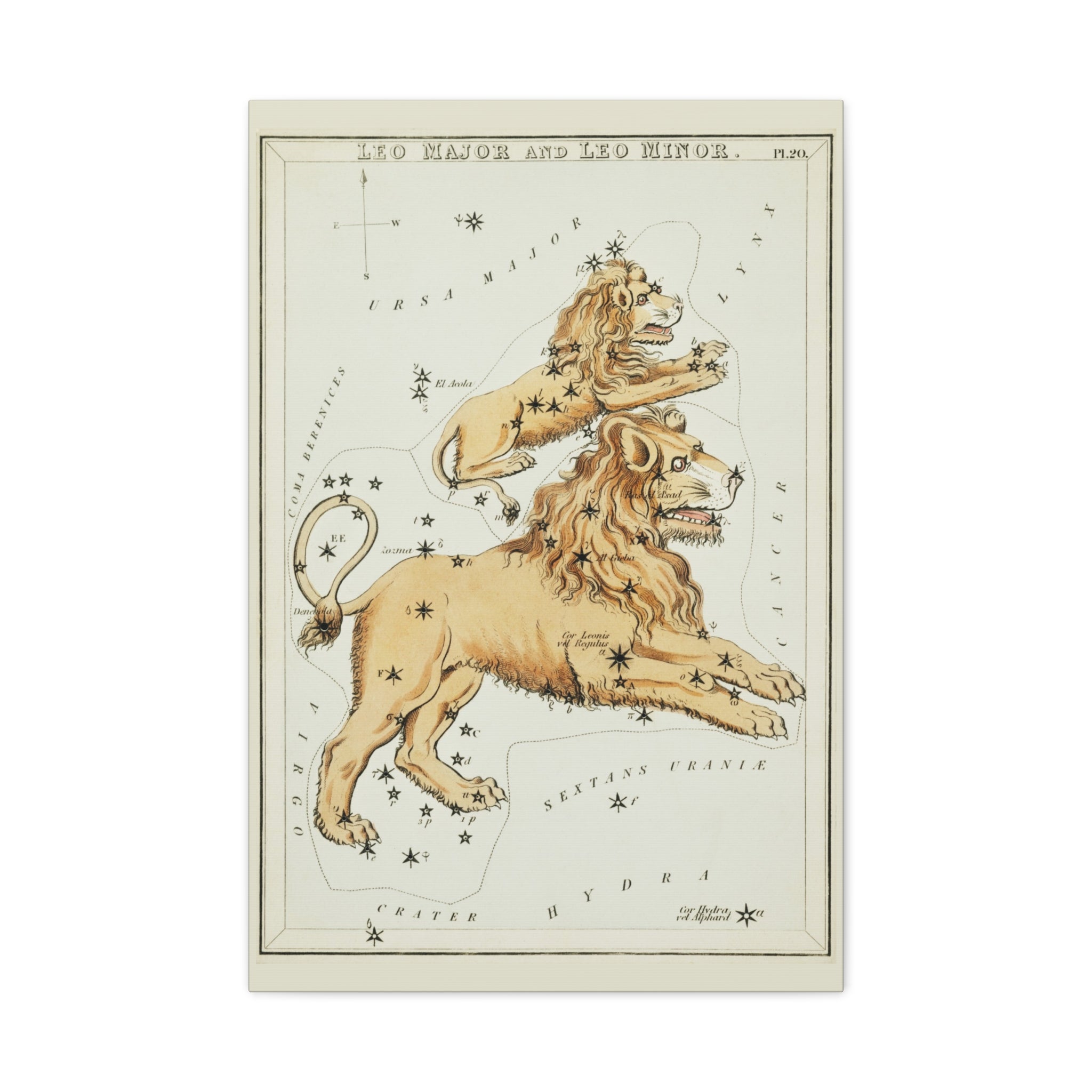 canvas-print-star-map-leo-major-leo-minor-celestial-gift-vintage-map-celestial-map-wall-art-decor-astronomy-decor-constellati