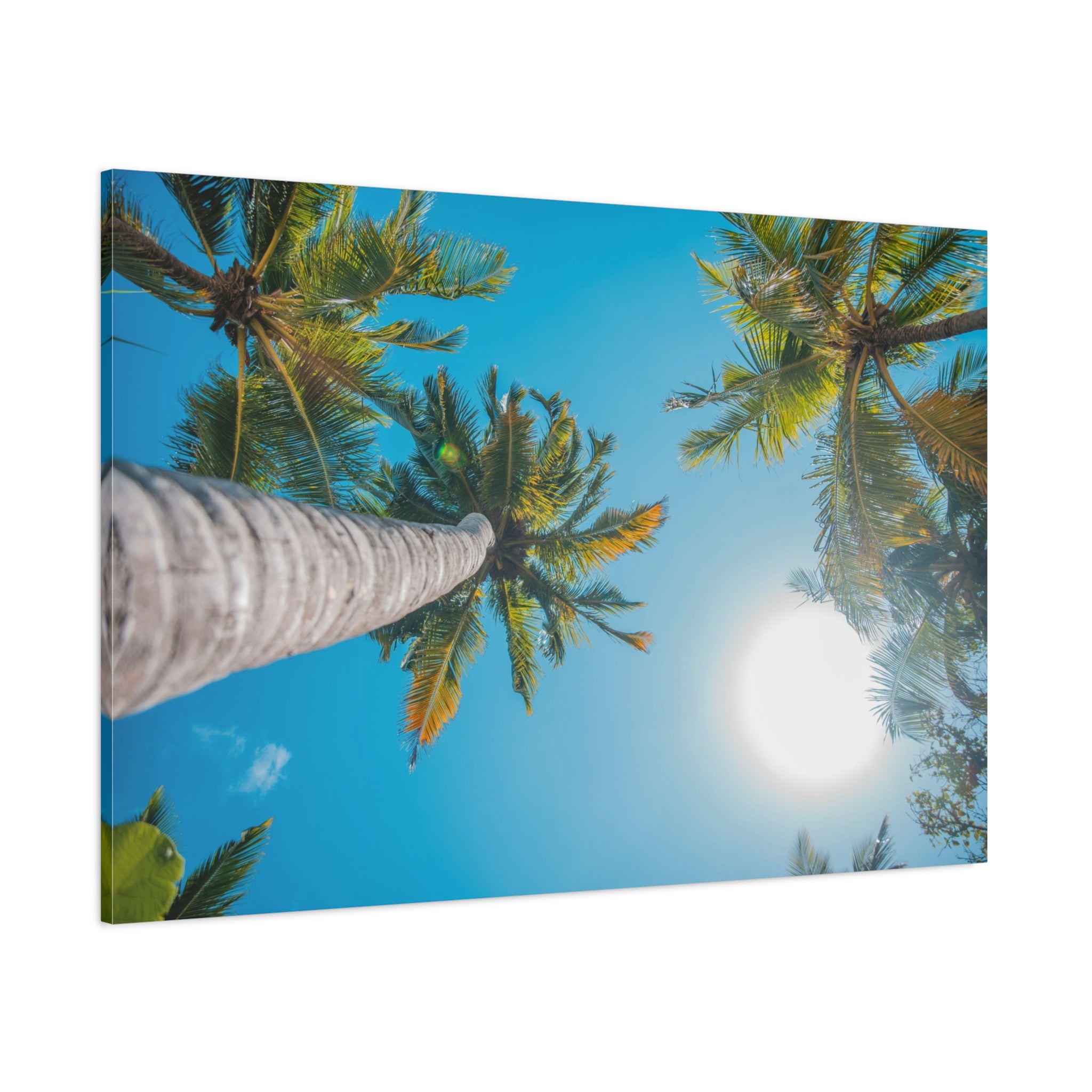 palm-tree-canvas-print-palm-tree-decor-wall-art-print-home-decor-palm-tree-fine-art-palm-tree-art-gallery-stretched-canvas-pr