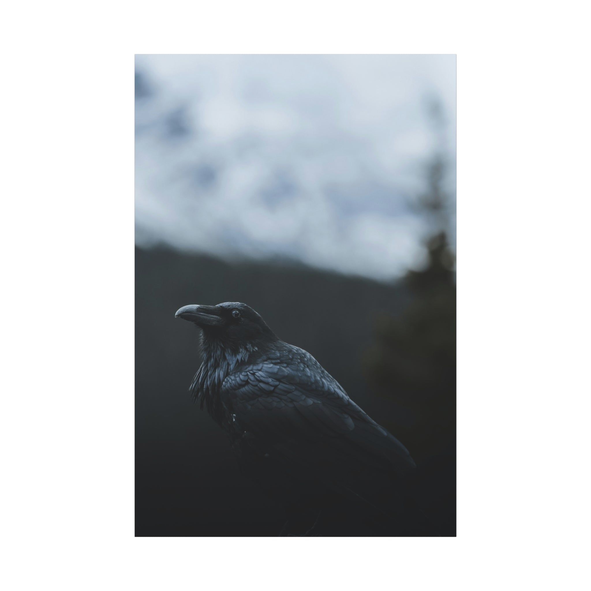 raven-canvas-print-raven-decor-matte-stretched-wall-art-bird-lover-gift-gothic-home-decor-halloween-picture-raven-art-print-1