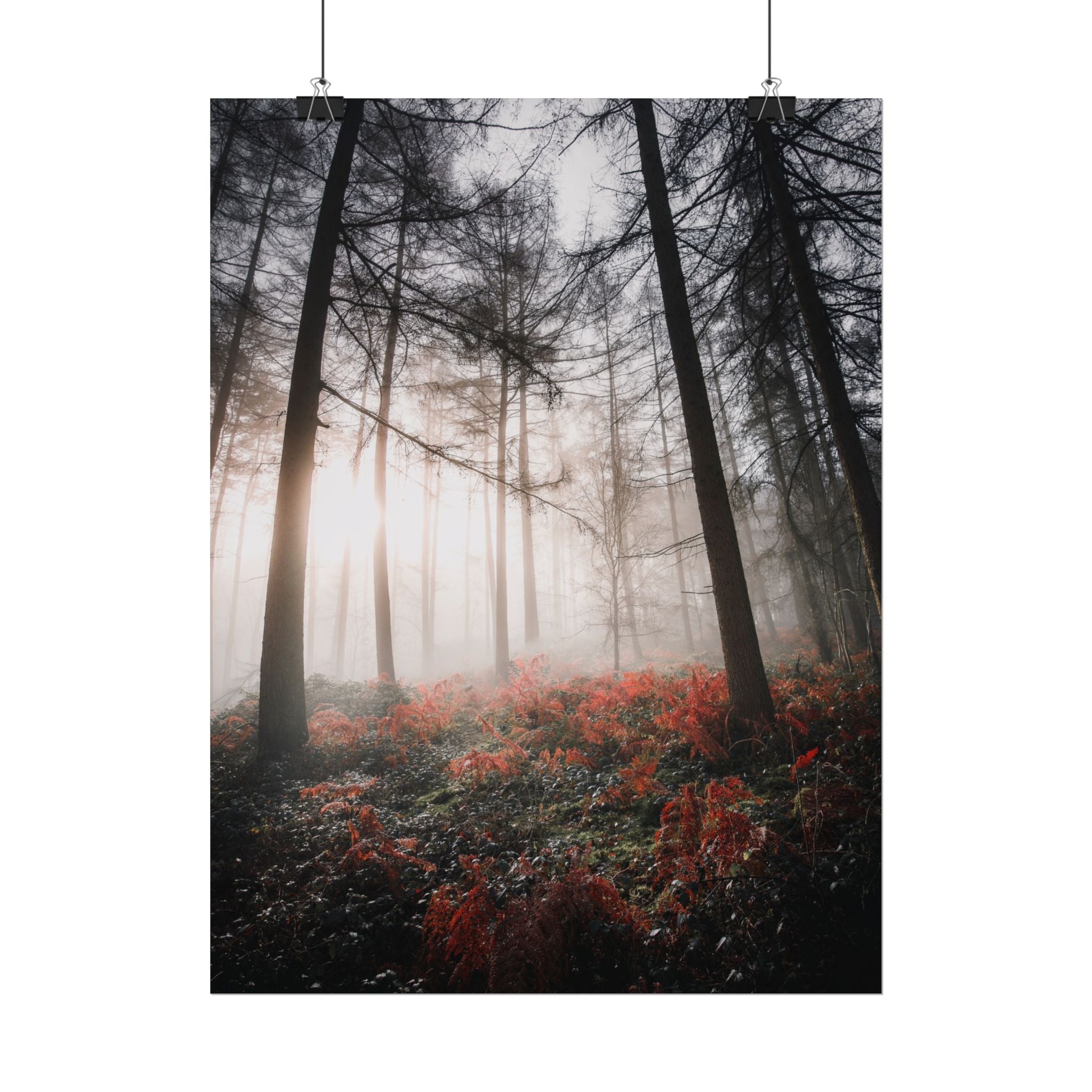 poster-print-misty-woods-art-living-room-wall-decor-sunlight-forest-landscape-aesthetic-nature-art-nature-artwork-poster-gift