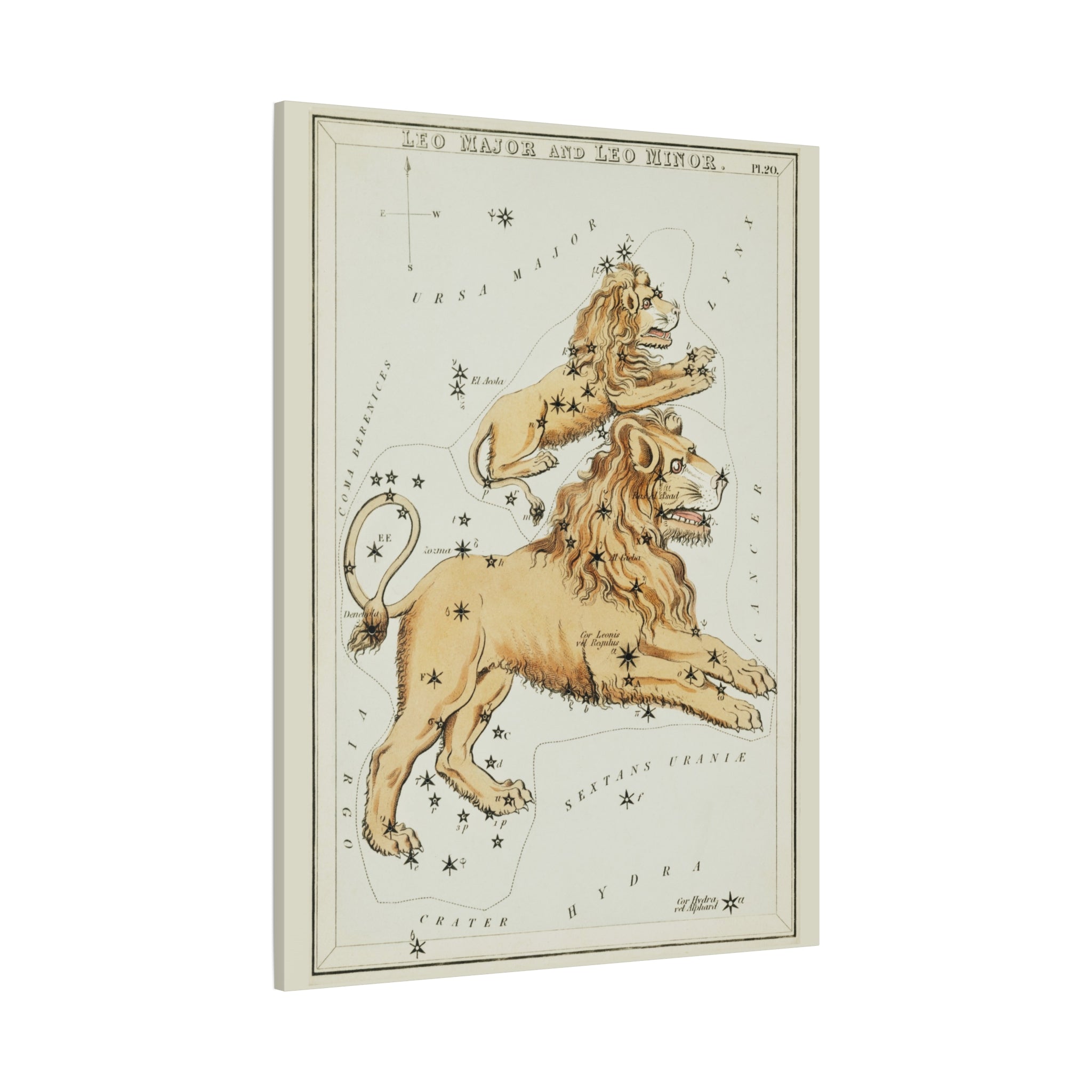 canvas-print-star-map-leo-major-leo-minor-celestial-gift-vintage-map-celestial-map-wall-art-decor-astronomy-decor-constellati