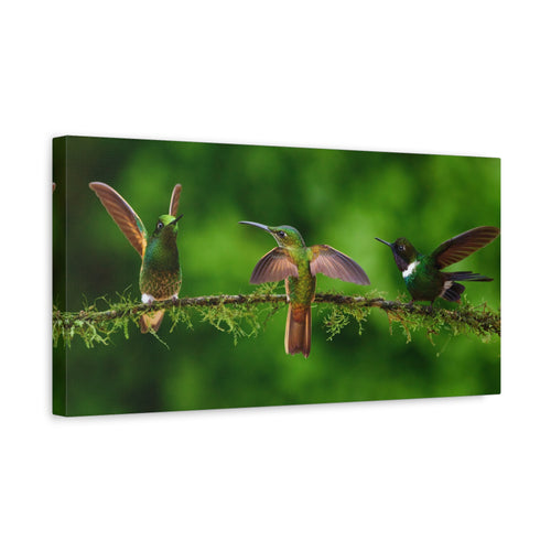 canvas-print-hummingbirds-canvas-wall-art-matte-canvas-stretched-home-decor-wall-decor-nature-art-gift-for-bird-lovers-panora
