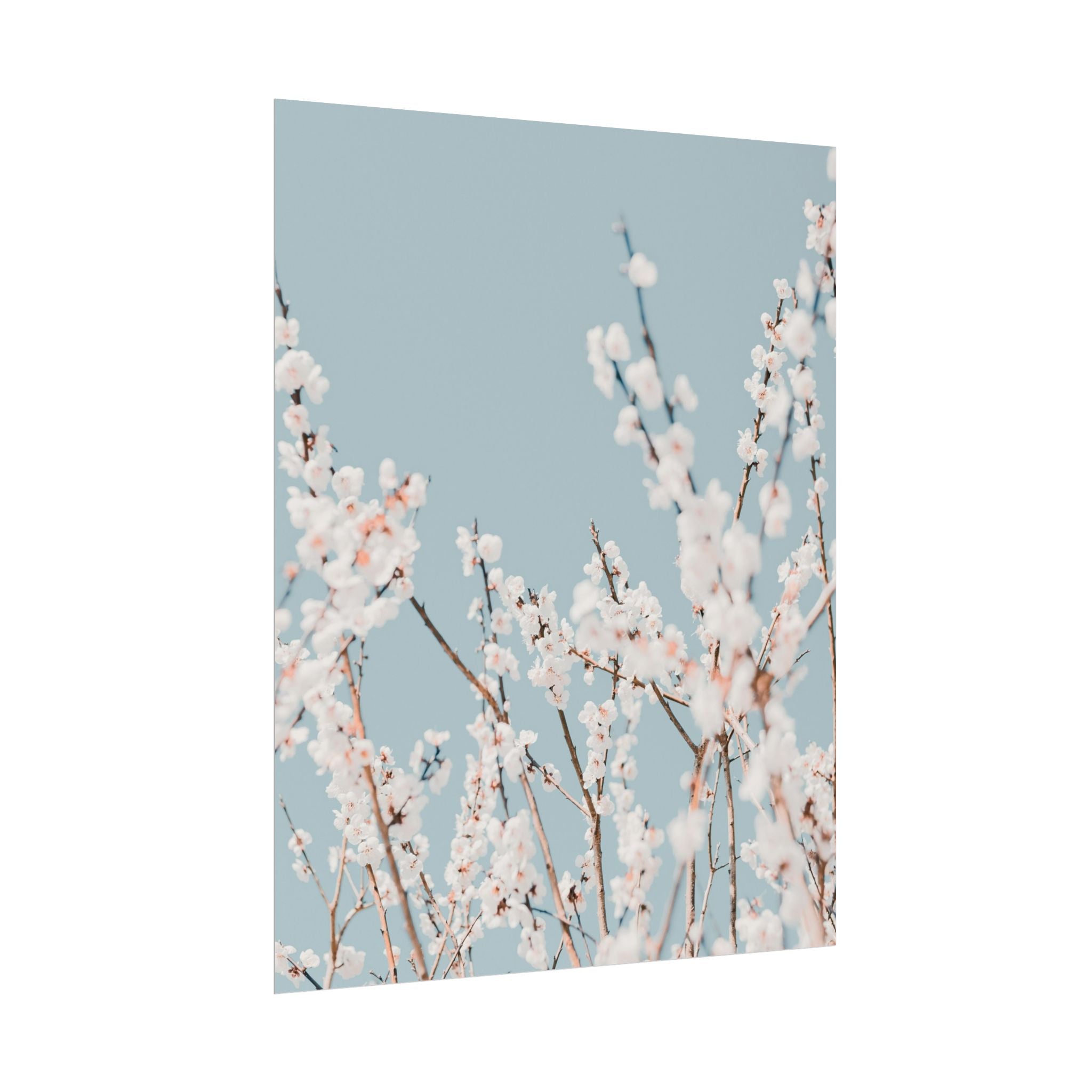 blossom-flowers-poster-print-minimalist-aesthetic-wall-art-fine-art-paper-home-decor-floral-decor-elegant-artwork