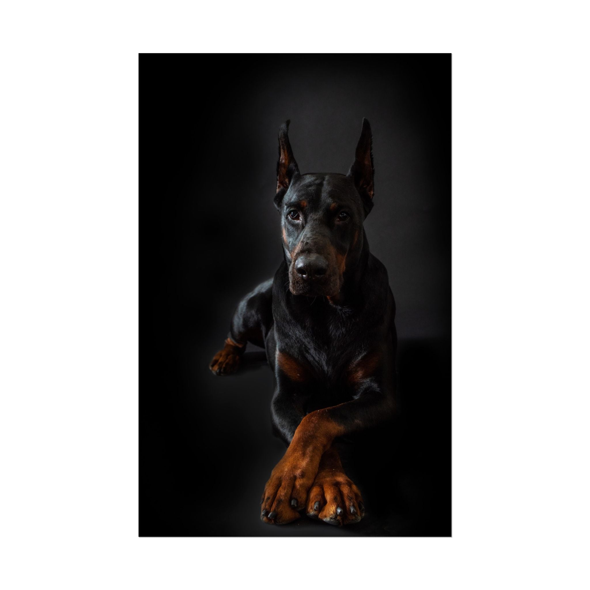 doberman-pincher-poster-print-rolled-posters-wall-art-home-decor-dog-lover-gift-animal-art-room-decoration