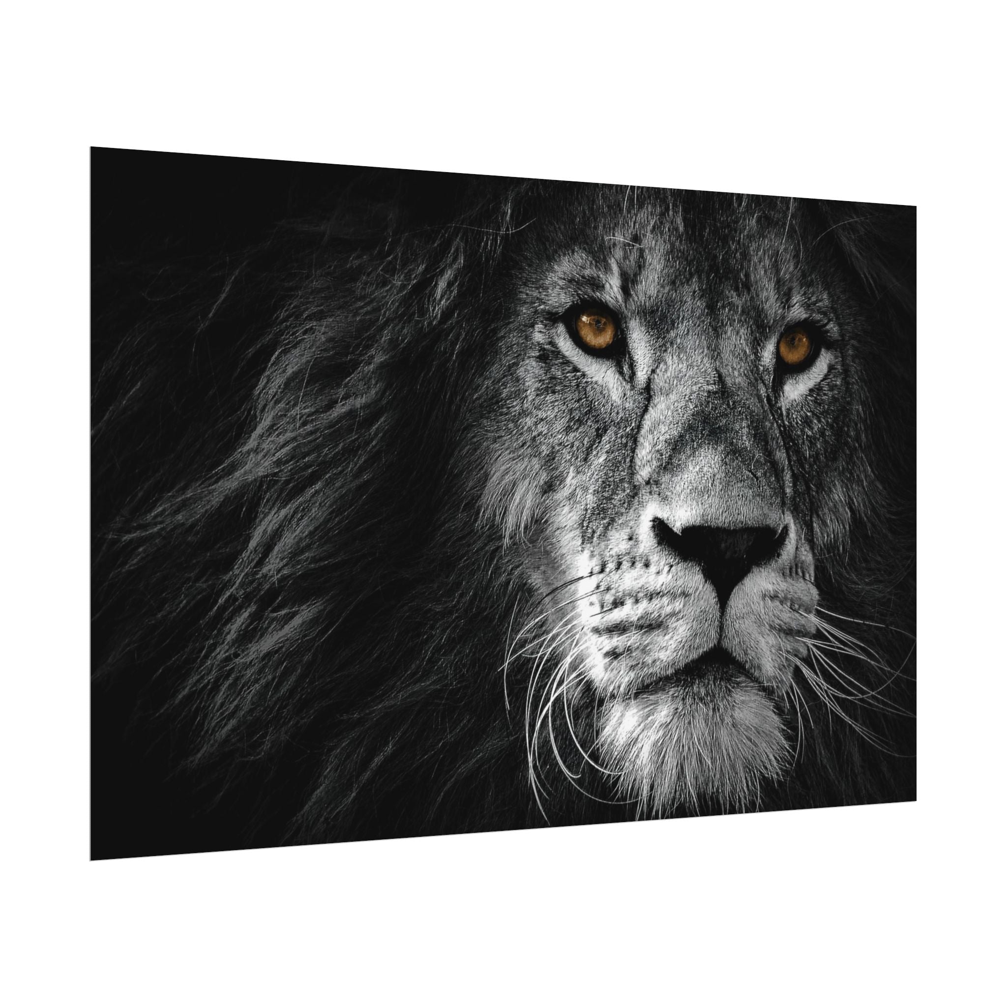 poster-print-lion-wall-art-black-and-white-monochrome-decor-living-room-decor-lion-poster-jungle-animal-art-print-wildlife-sa