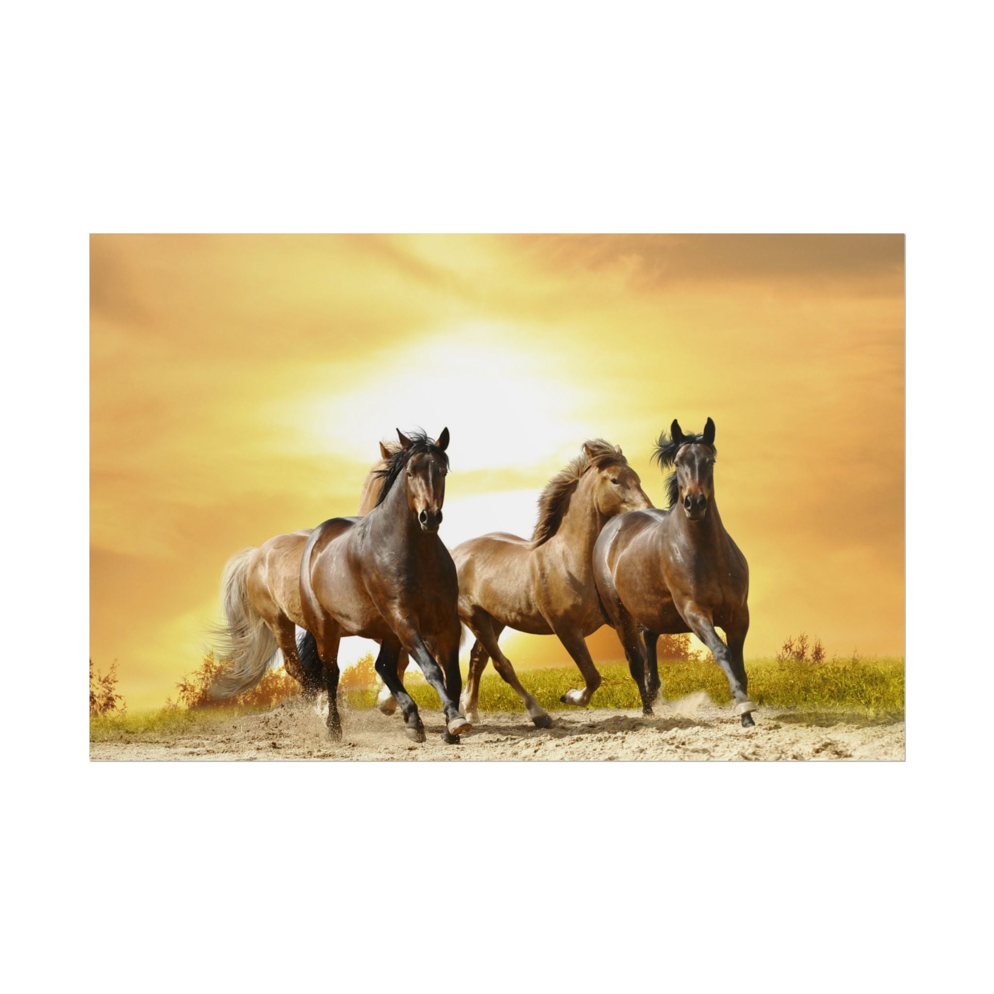 running-horse-poster-wall-art-farmhouse-wall-decor-home-decor-housewarming-gift-horse-print-wall-print-wild-animals