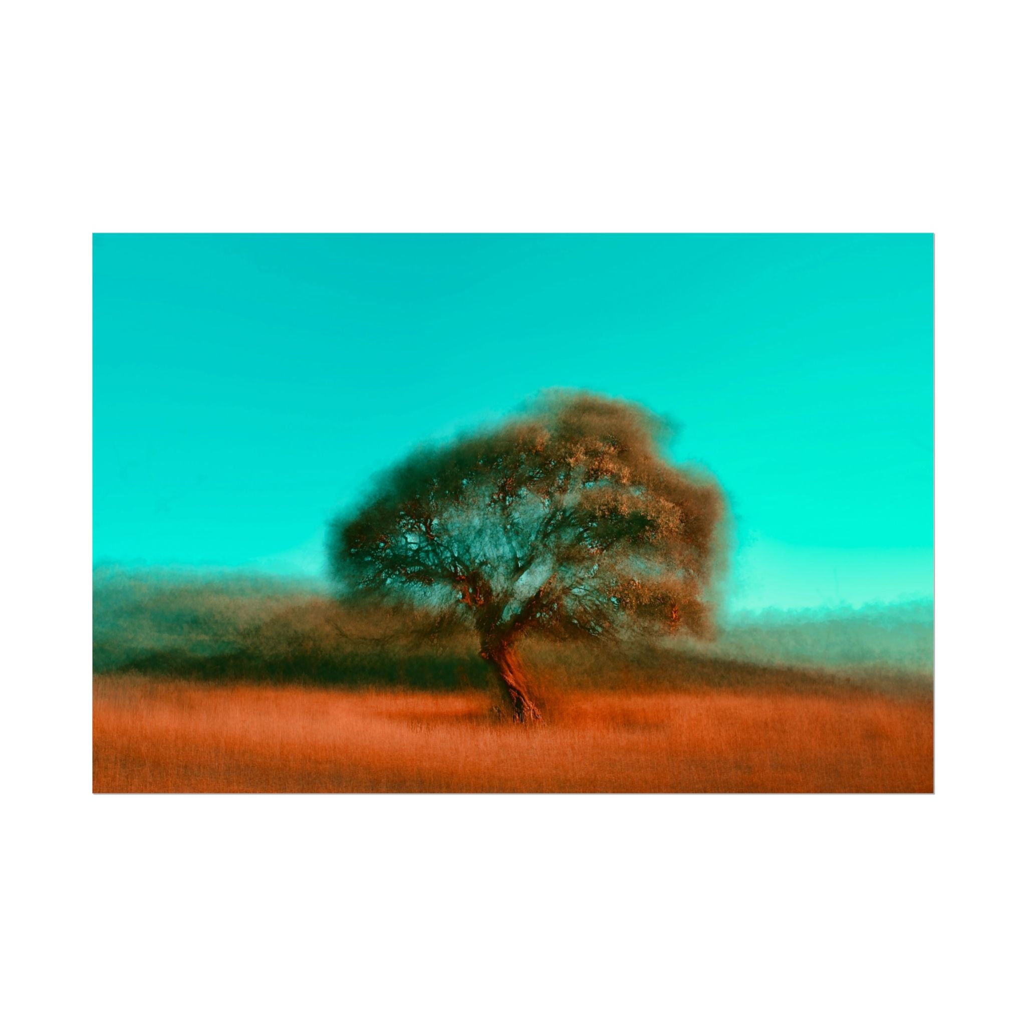 tree-photography-poster-print-rustic-nature-wall-decor-fine-art-paper-print-gift-for-nature-lover-home-office-decor-wall-art-