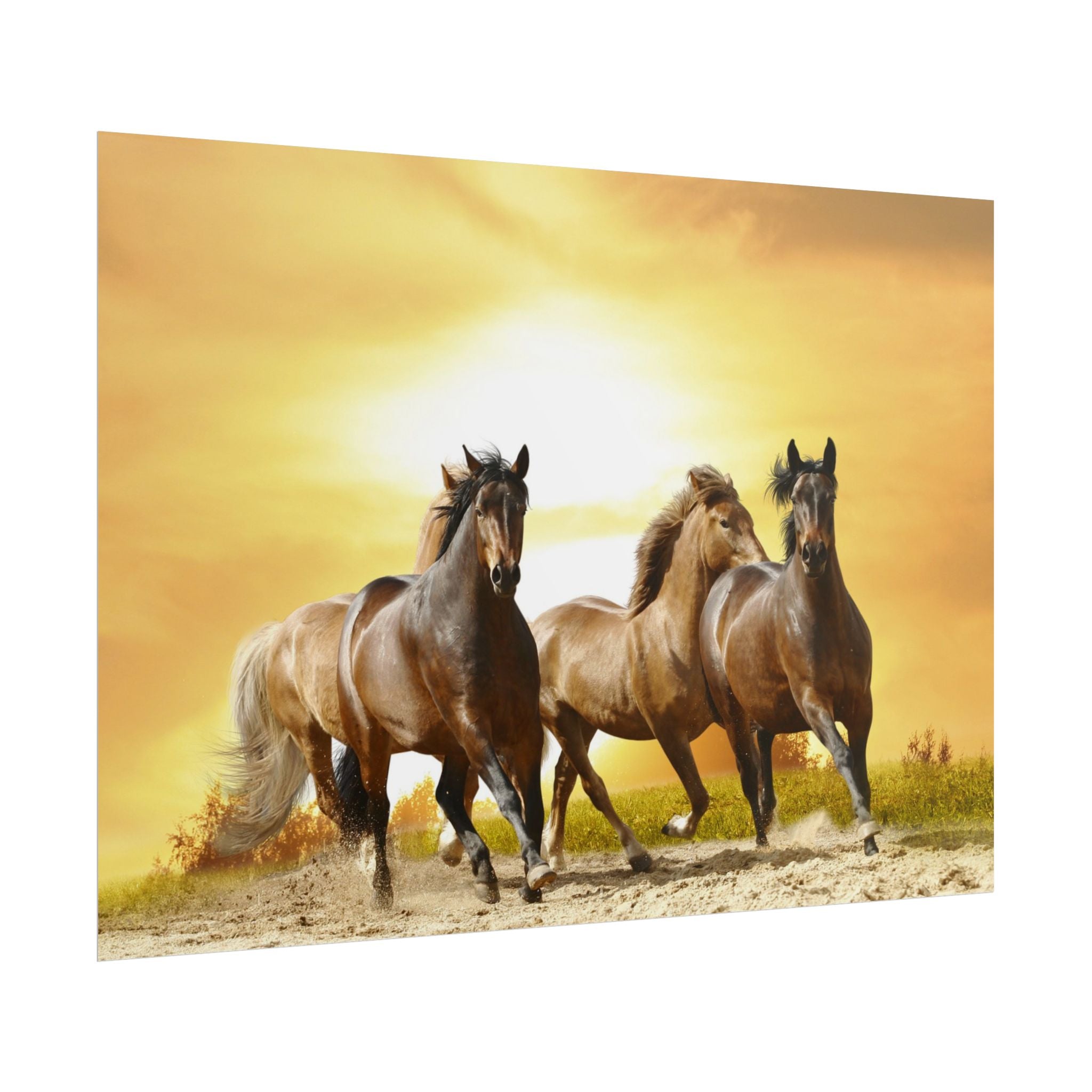 running-horse-poster-wall-art-farmhouse-wall-decor-home-decor-housewarming-gift-horse-print-wall-print-wild-animals