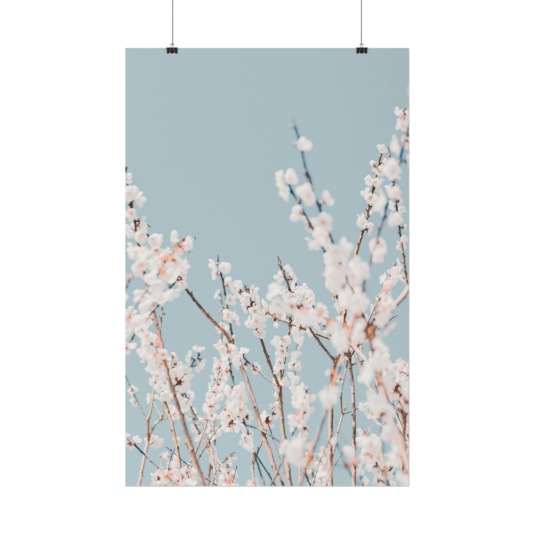 blossom-flowers-poster-print-minimalist-aesthetic-wall-art-fine-art-paper-home-decor-floral-decor-elegant-artwork