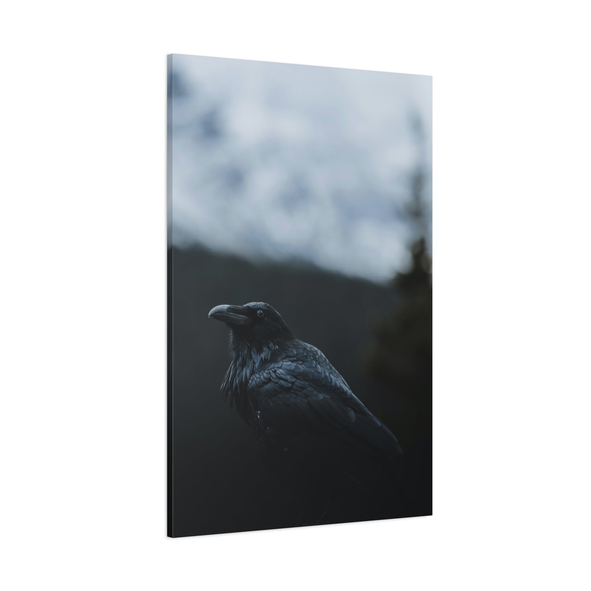 raven-canvas-print-raven-decor-matte-stretched-wall-art-bird-lover-gift-gothic-home-decor-halloween-picture-raven-art-print-1