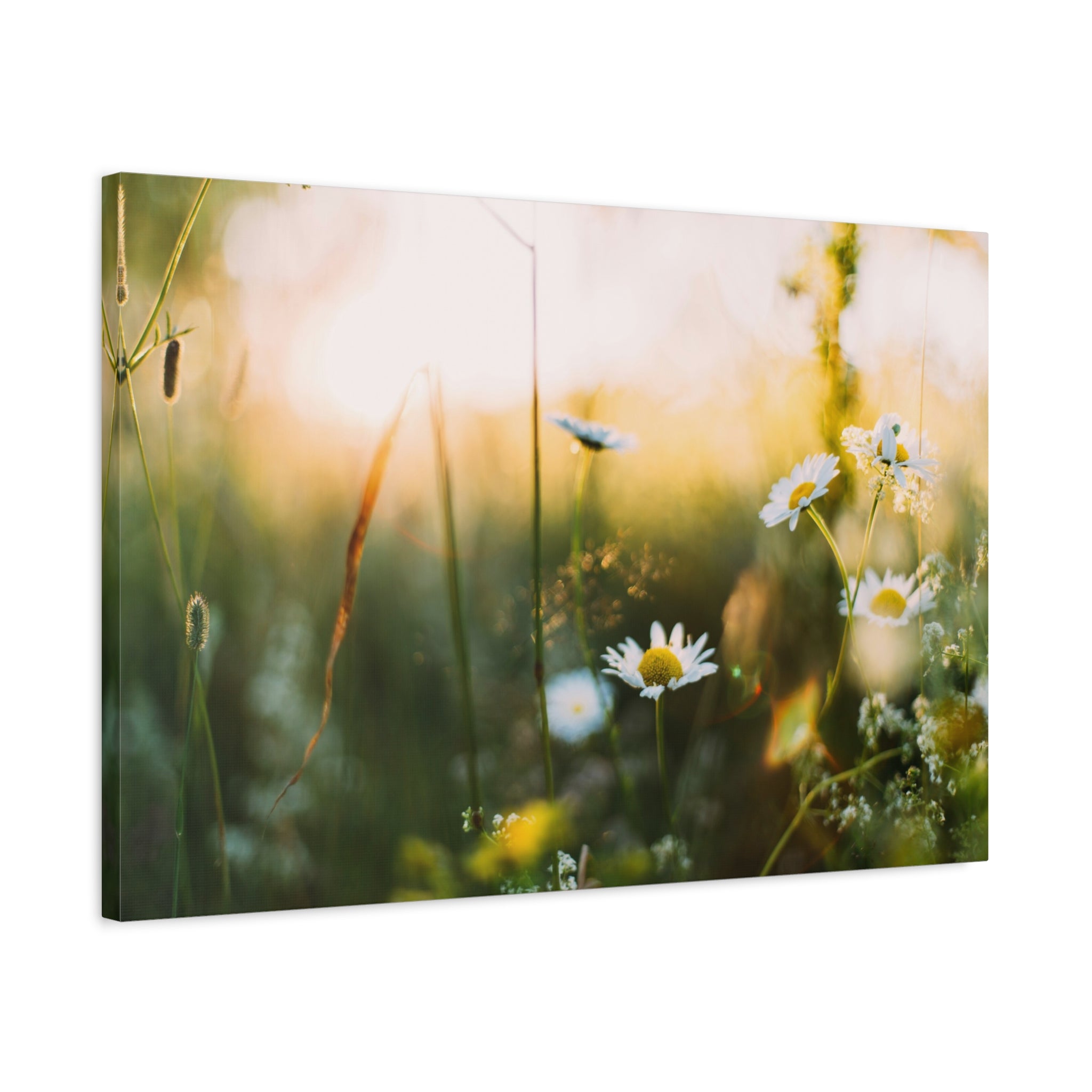 canvas-print-spring-flowers-wall-art-floral-home-decor-matte-canvas-print-stretched-canvas-art-1-25-canvas-artwork-botanical-