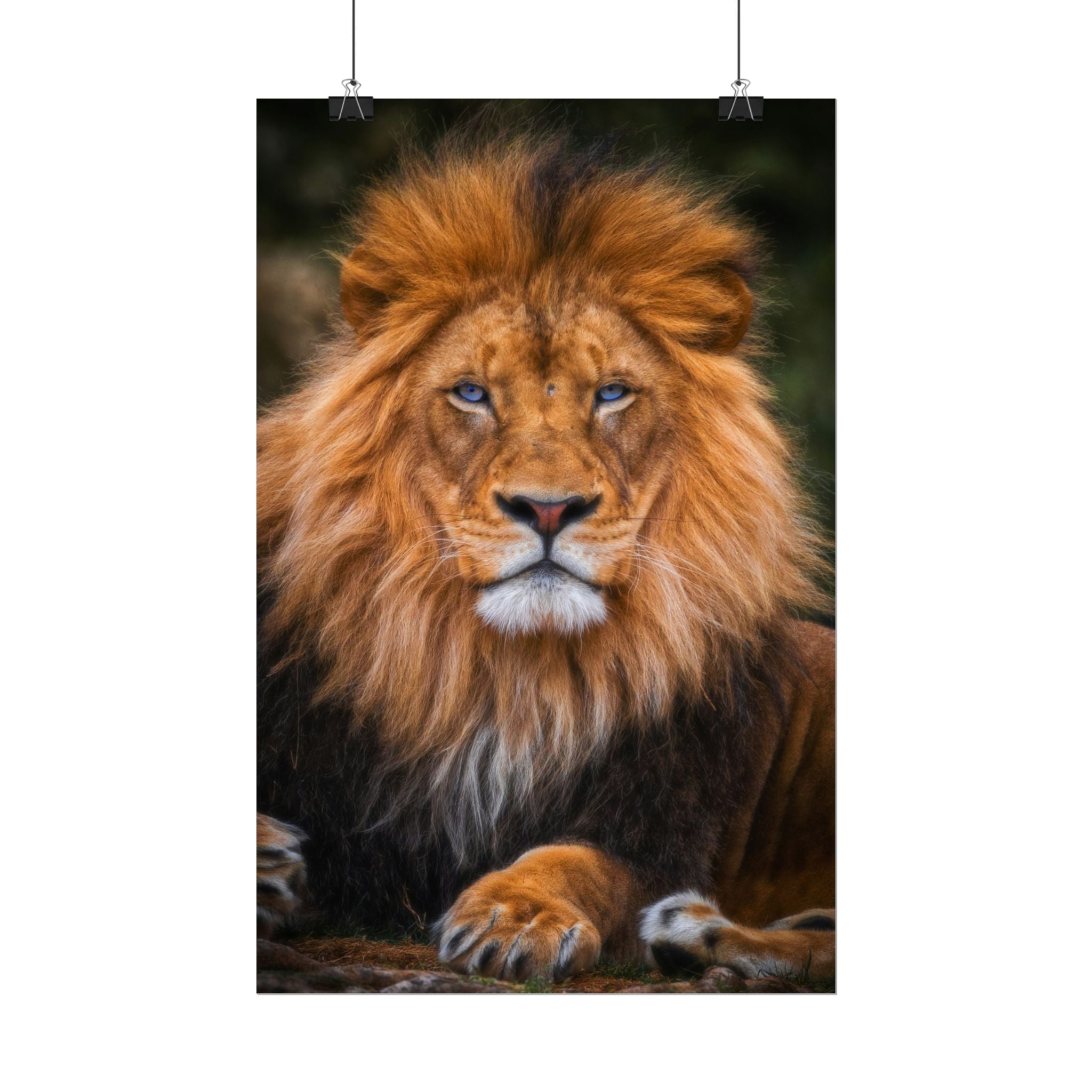 blue-eyed-lion-poster-wall-art-wildlife-home-decor-animal-lover-gift-safari-decoration-wildlife-art-print-lion-wall-decor