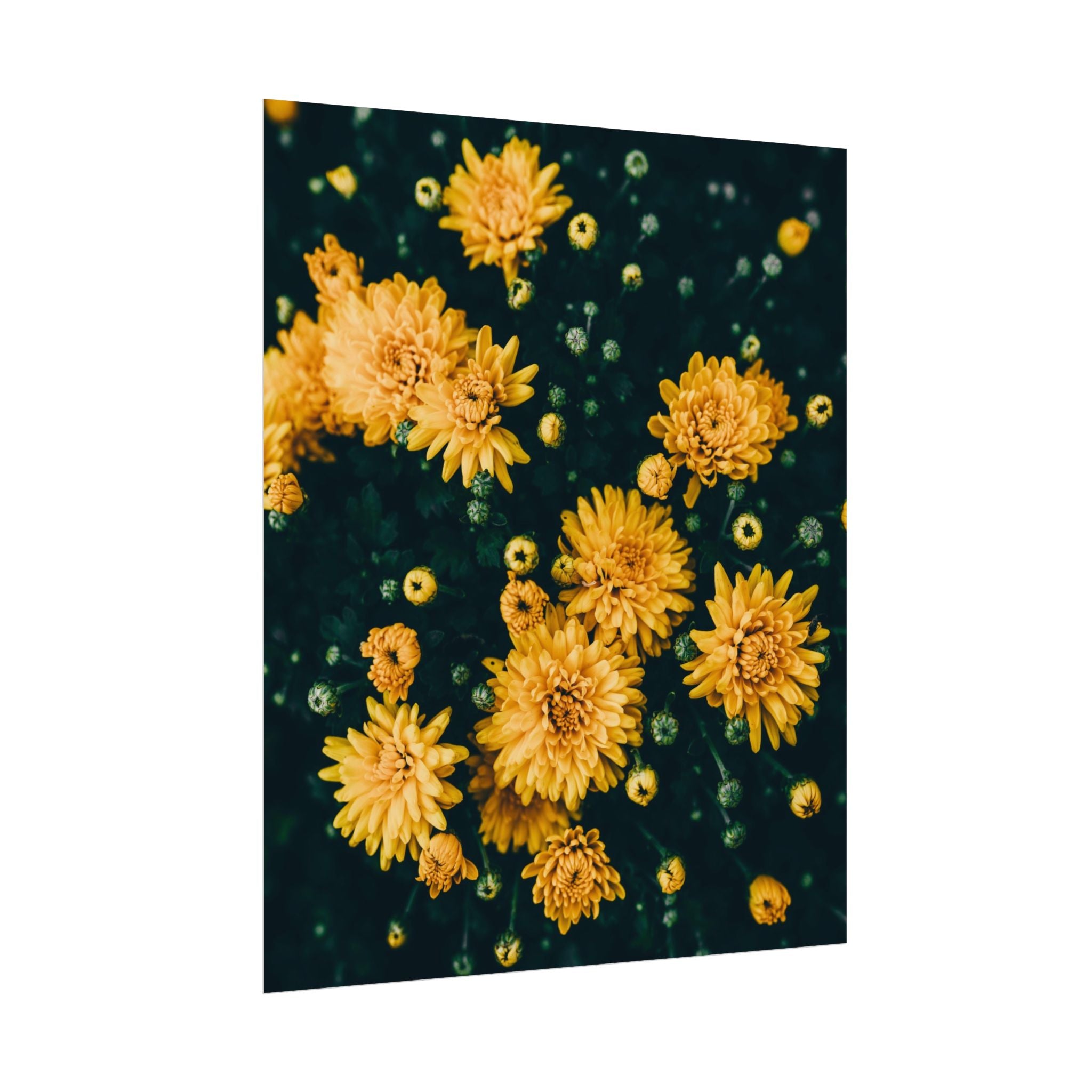 yellow-flower-art-poster-print-floral-wall-decor-floral-home-decor-gift-dark-botanical-art-print