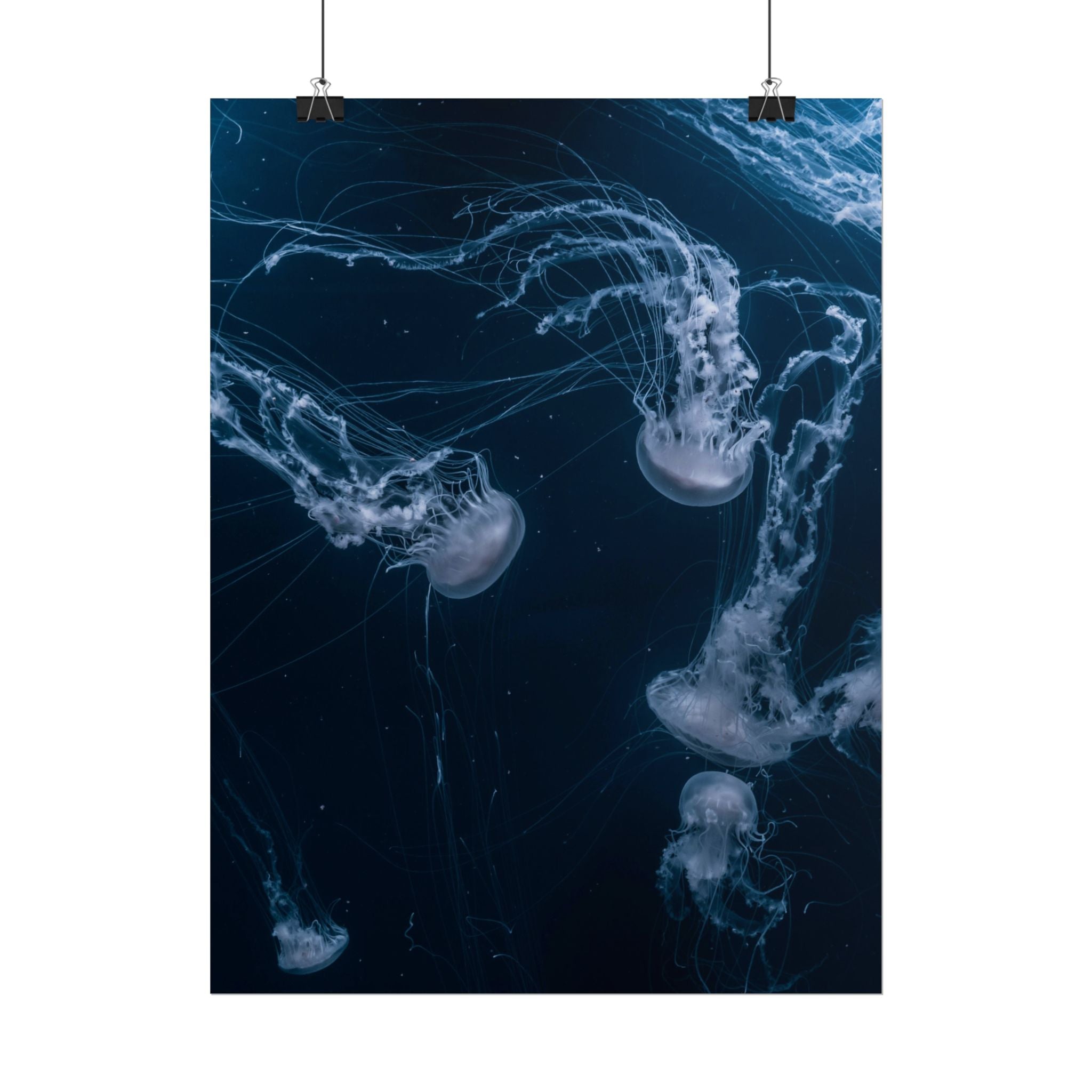 long-jellyfish-wall-art-poster-print-wall-hanging-ocean-life-deep-ocean-decor-home-decor-housewarming-gift