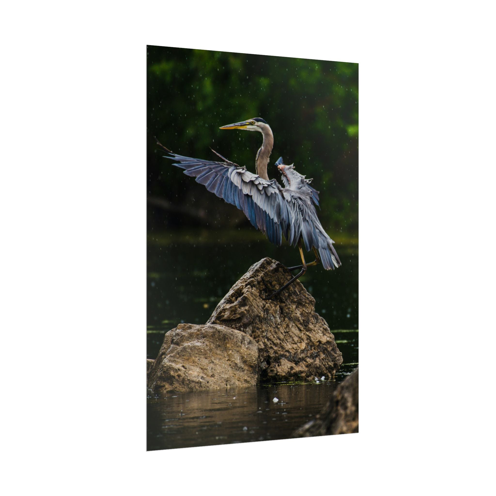 great-blue-heron-poster-wall-art-home-decor-bird-lover-gift-nature-wall-hanging-wildlife-poster