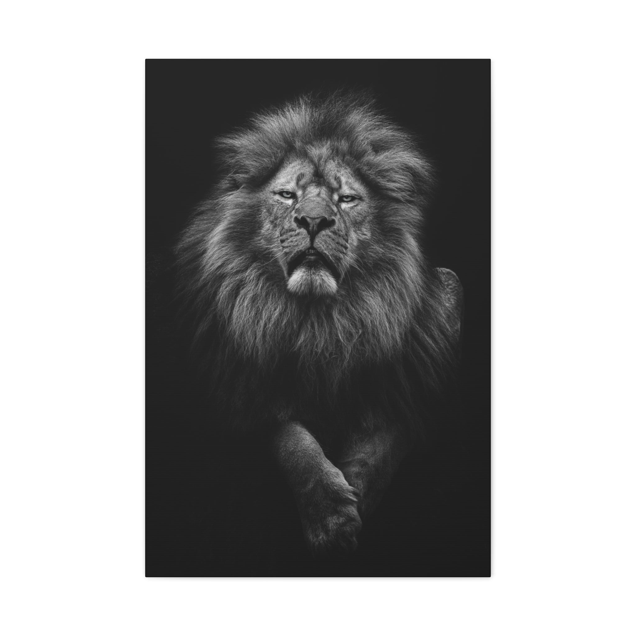 canvas-print-lion-wall-art-black-and-white-living-room-decor-matte-stretched-lion-poster-jungle-animal-art-print-wildlife-saf