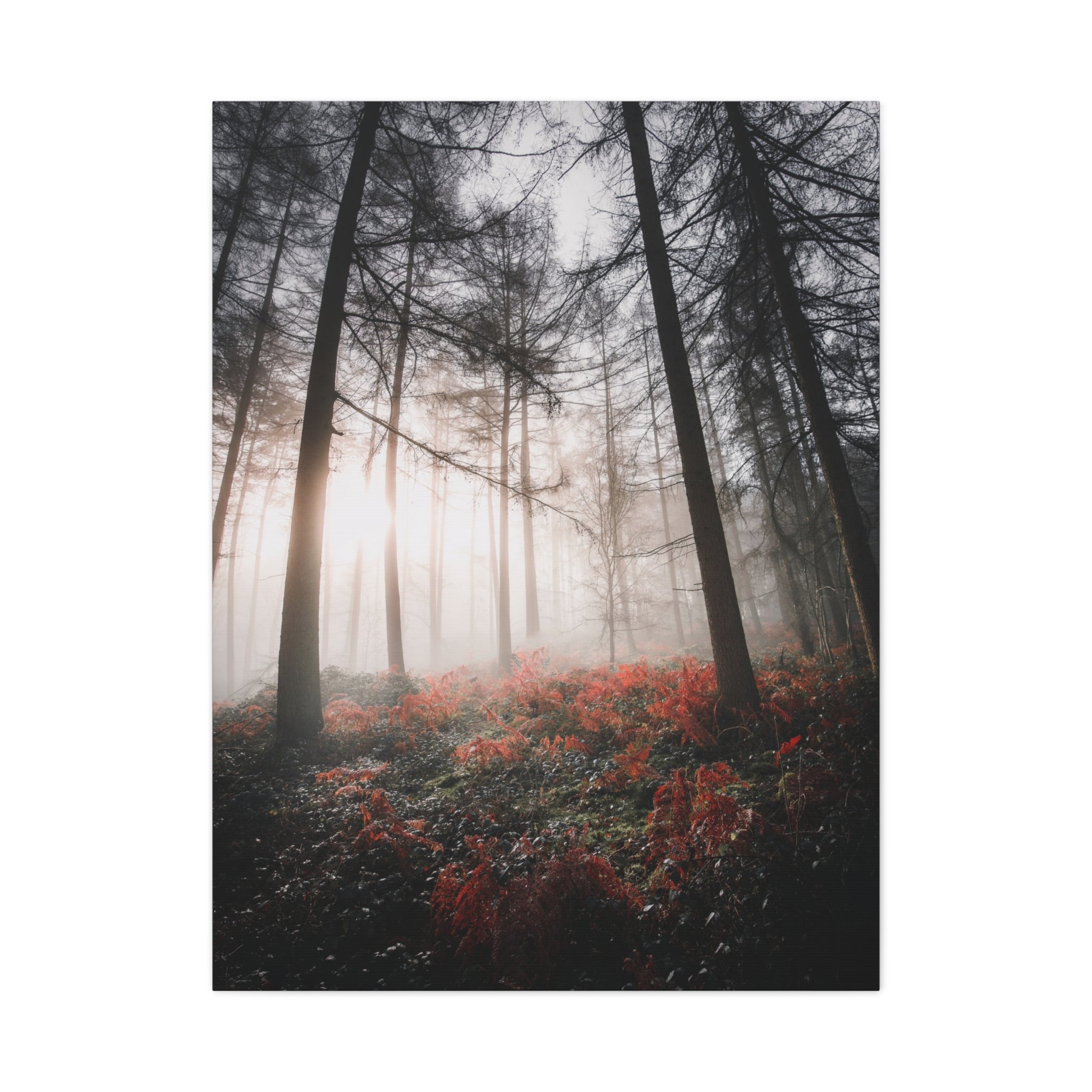 canvas-print-misty-woods-art-living-room-wall-decor-sunlight-forest-landscape-aesthetic-nature-art-stretched-artwork-matte-ca
