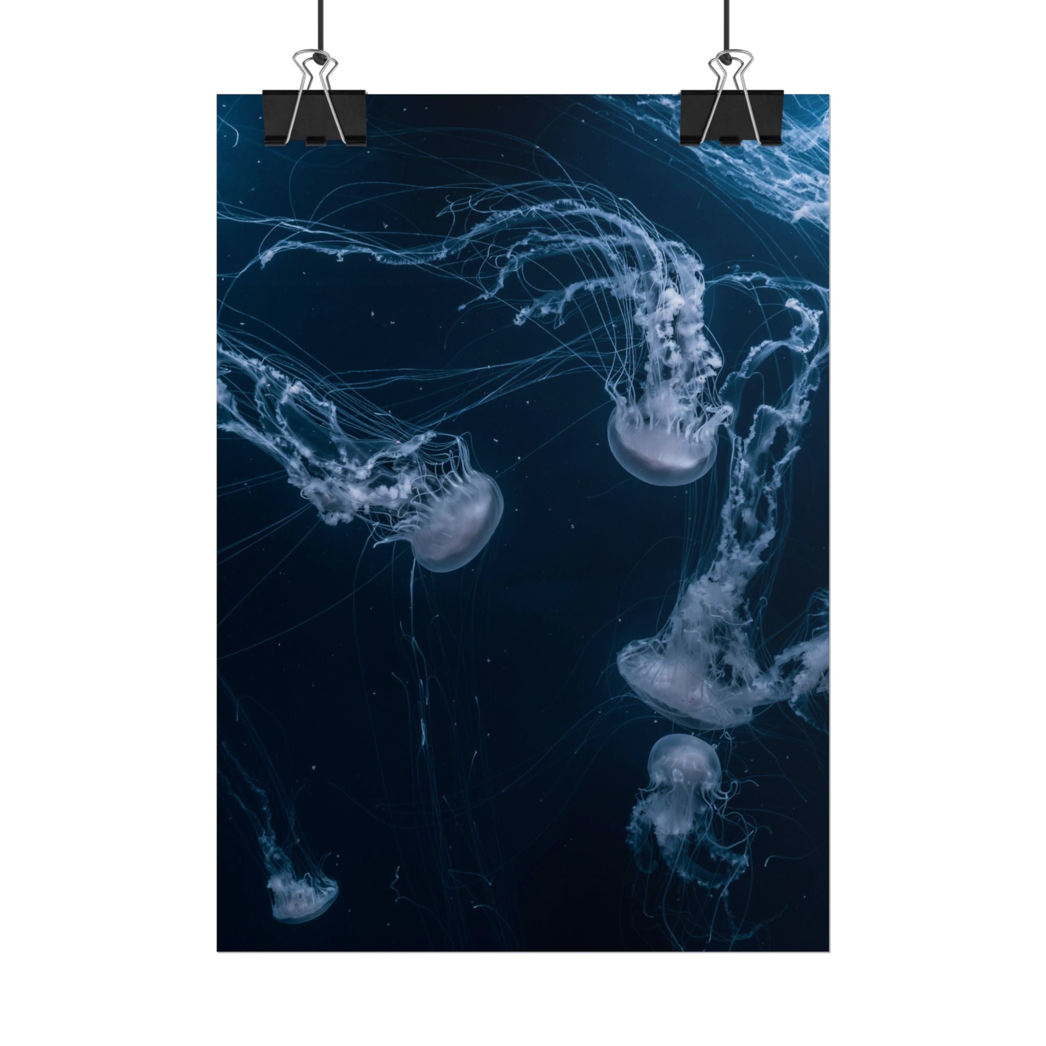 long-jellyfish-wall-art-poster-print-wall-hanging-ocean-life-deep-ocean-decor-home-decor-housewarming-gift