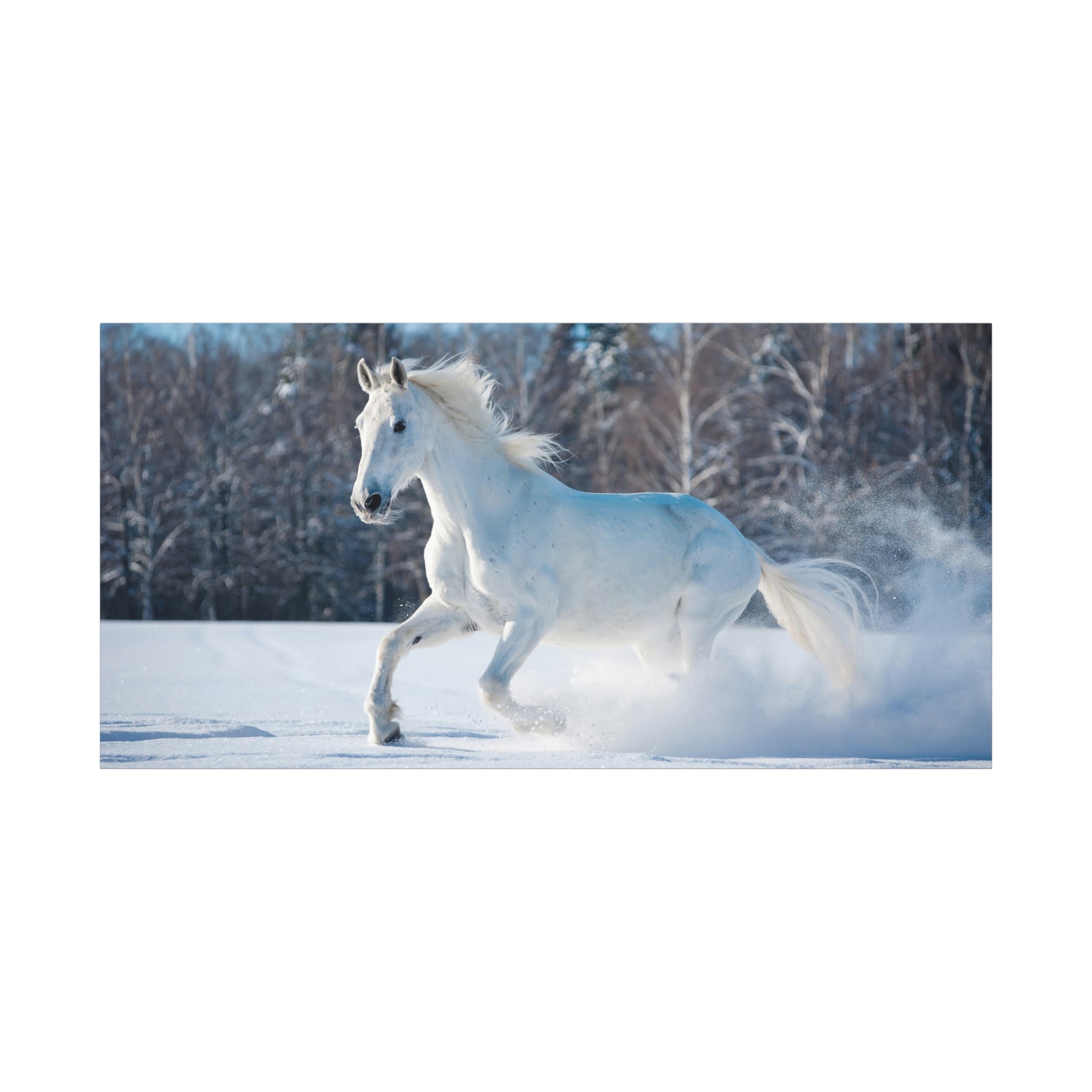 canvas-print-white-horse-winter-wall-art-home-decor-nature-decor-matte-stretched-canvas-alternative-horse-wall-decor-wildlife