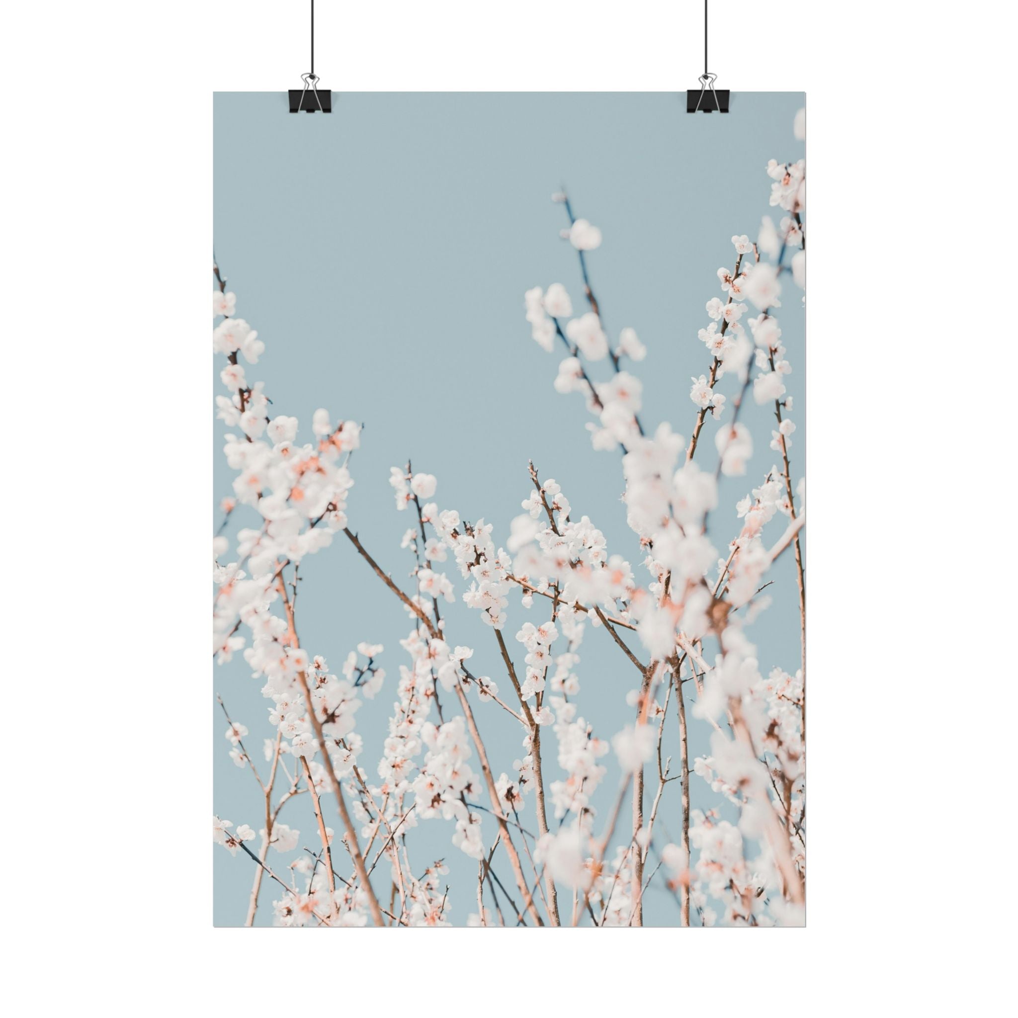 blossom-flowers-poster-print-minimalist-aesthetic-wall-art-fine-art-paper-home-decor-floral-decor-elegant-artwork