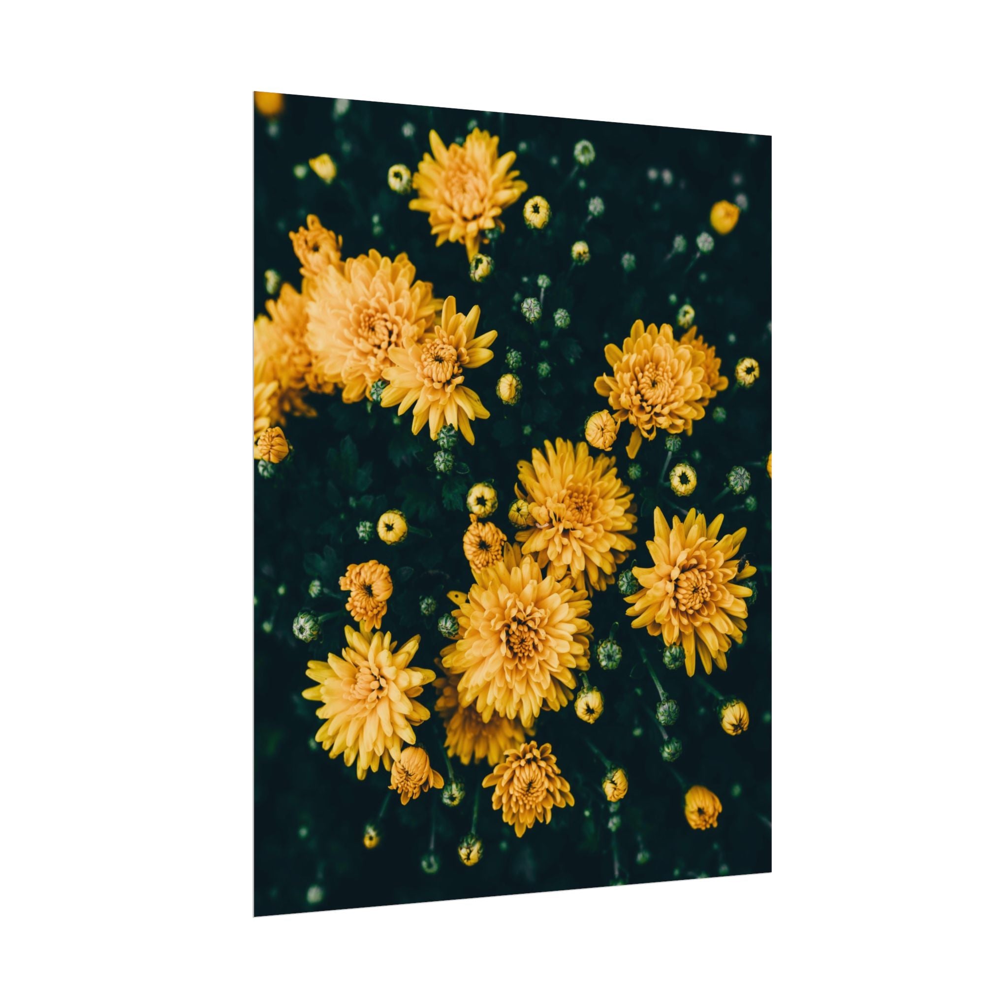 yellow-flower-art-poster-print-floral-wall-decor-floral-home-decor-gift-dark-botanical-art-print