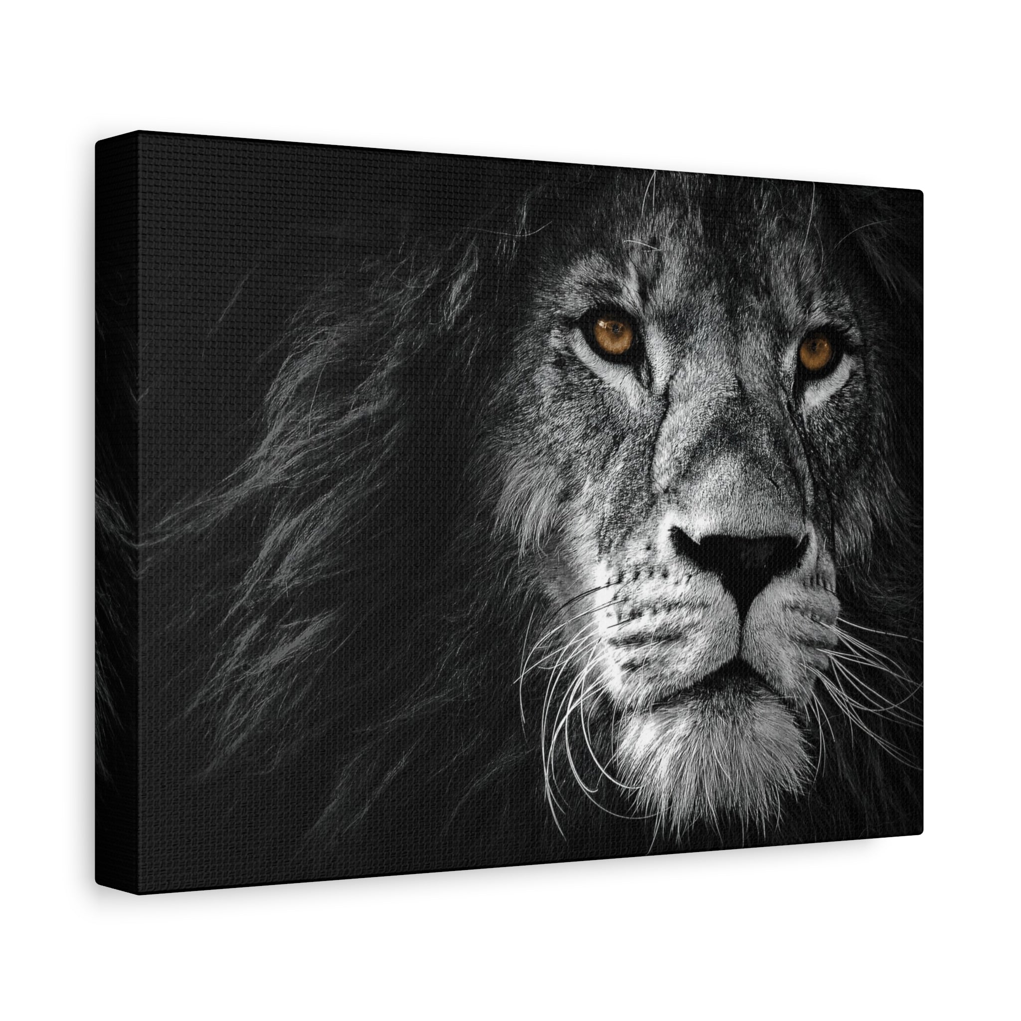 canvas-print-lion-wall-art-black-and-white-living-room-decor-matte-stretched-lion-poster-jungle-animal-art-print-wildlife-saf