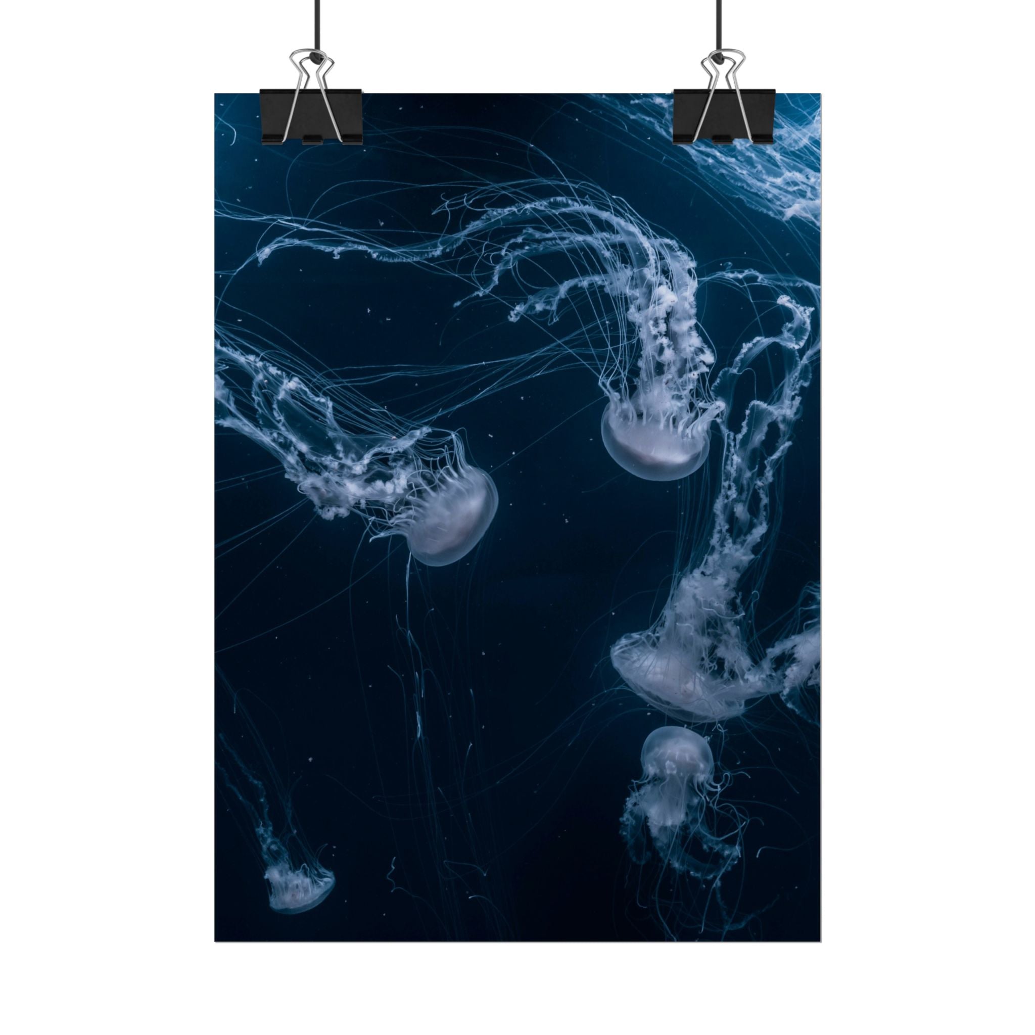 long-jellyfish-wall-art-poster-print-wall-hanging-ocean-life-deep-ocean-decor-home-decor-housewarming-gift