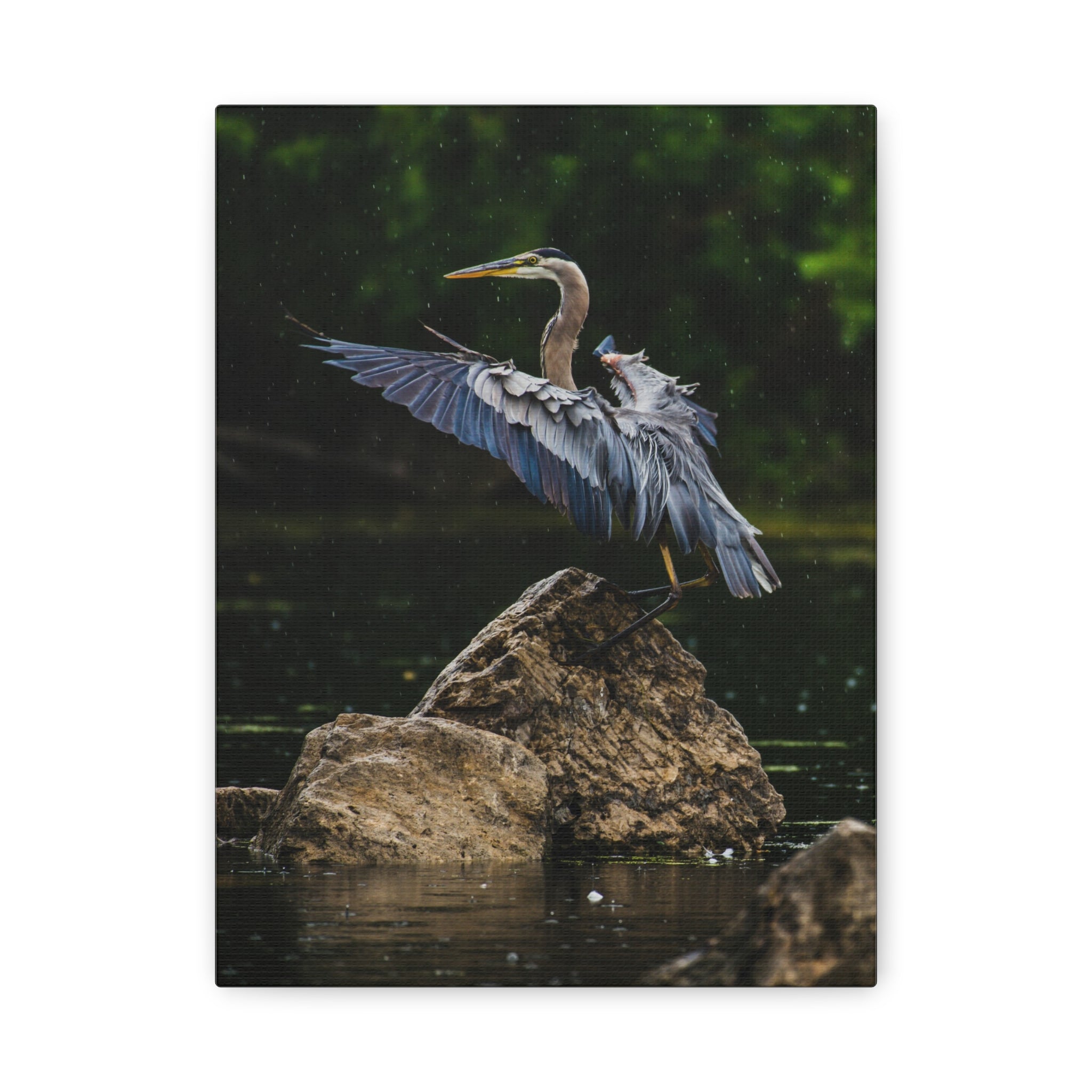 canvas-print-wall-art-great-blue-heron-matte-canvas-stretched-home-decor-bird-lover-gift-nature-wall-hanging-wildlife
