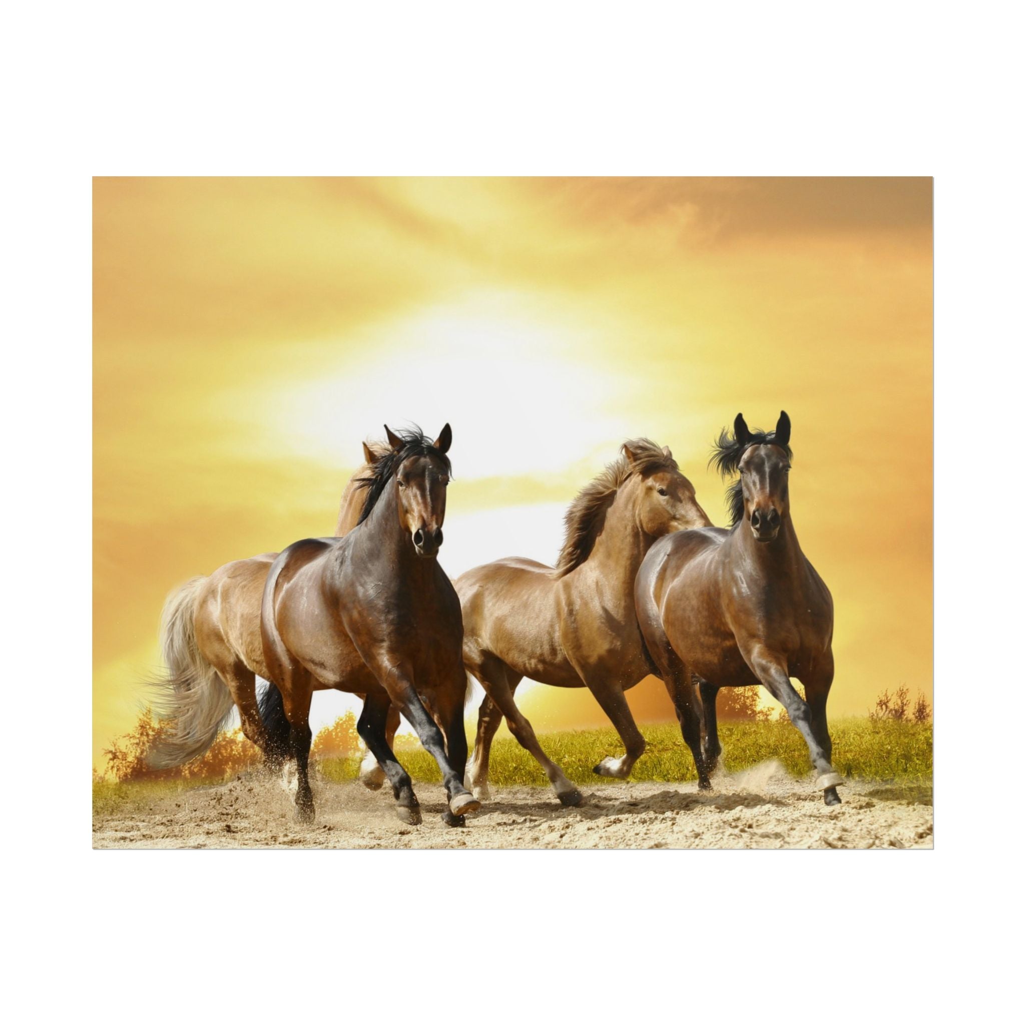 running-horse-poster-wall-art-farmhouse-wall-decor-home-decor-housewarming-gift-horse-print-wall-print-wild-animals