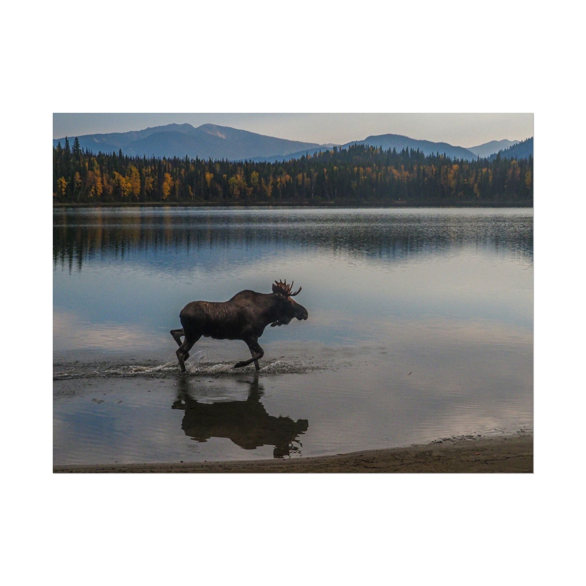 rustic-moose-poster-wall-decor-cabin-lodge-wildlife-painting-nature-home-decor-wilderness-animal-poster-farmhouse-wall-art