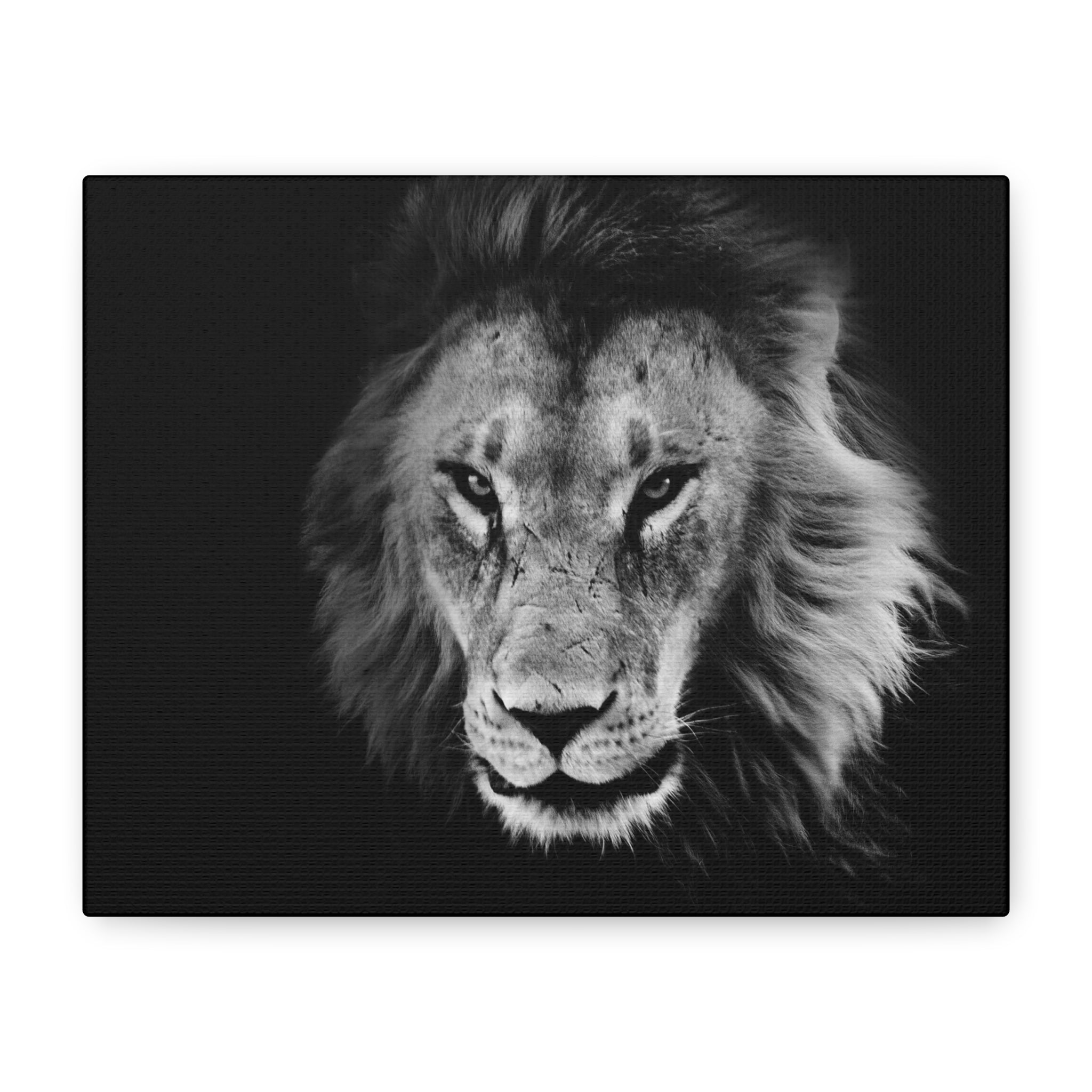 Lion Canvas Wall Art, Black and White Living Room Decor, Matte Stretched, Lion Poster, Jungle Animal Art Print, Wildlife Safari