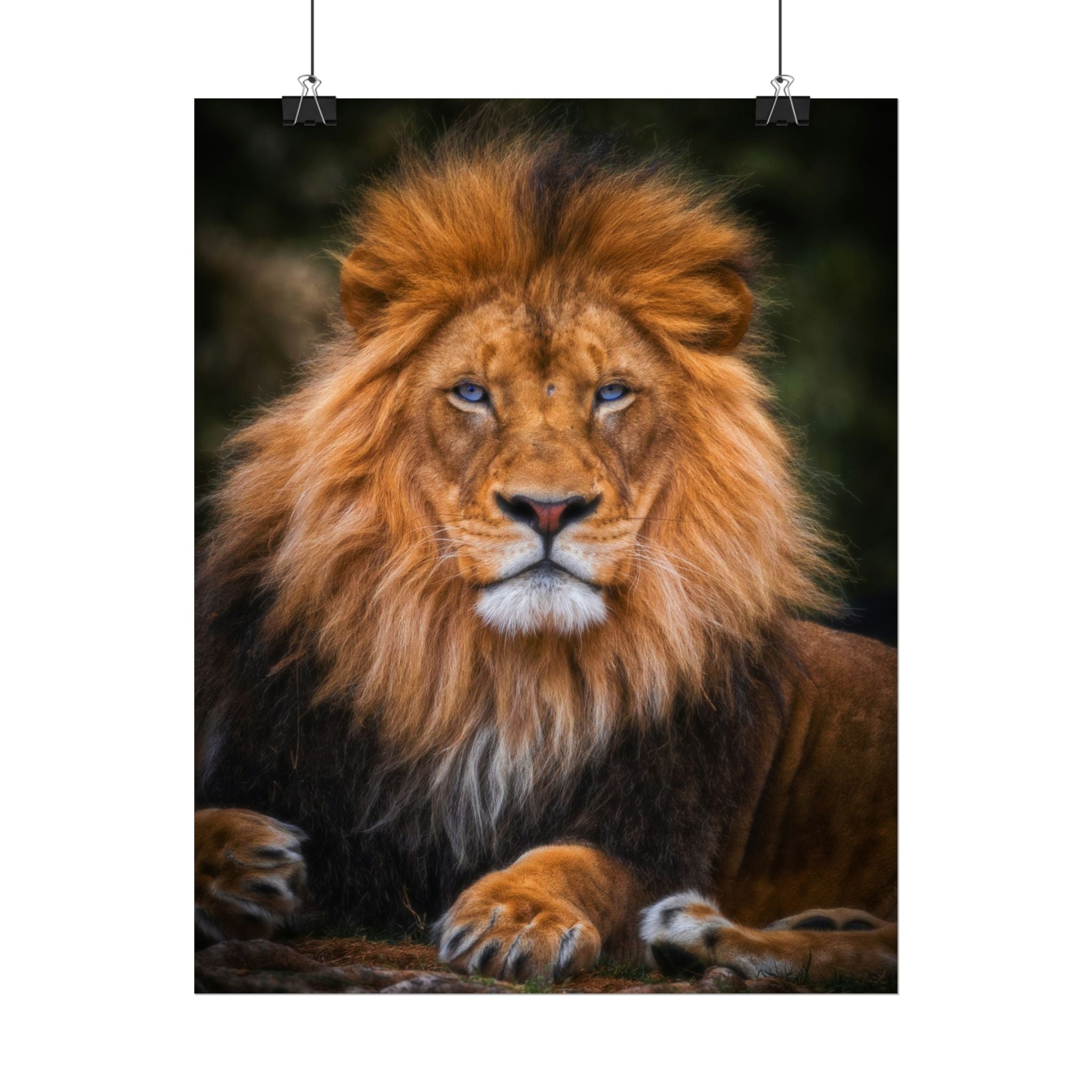 blue-eyed-lion-poster-wall-art-wildlife-home-decor-animal-lover-gift-safari-decoration-wildlife-art-print-lion-wall-decor