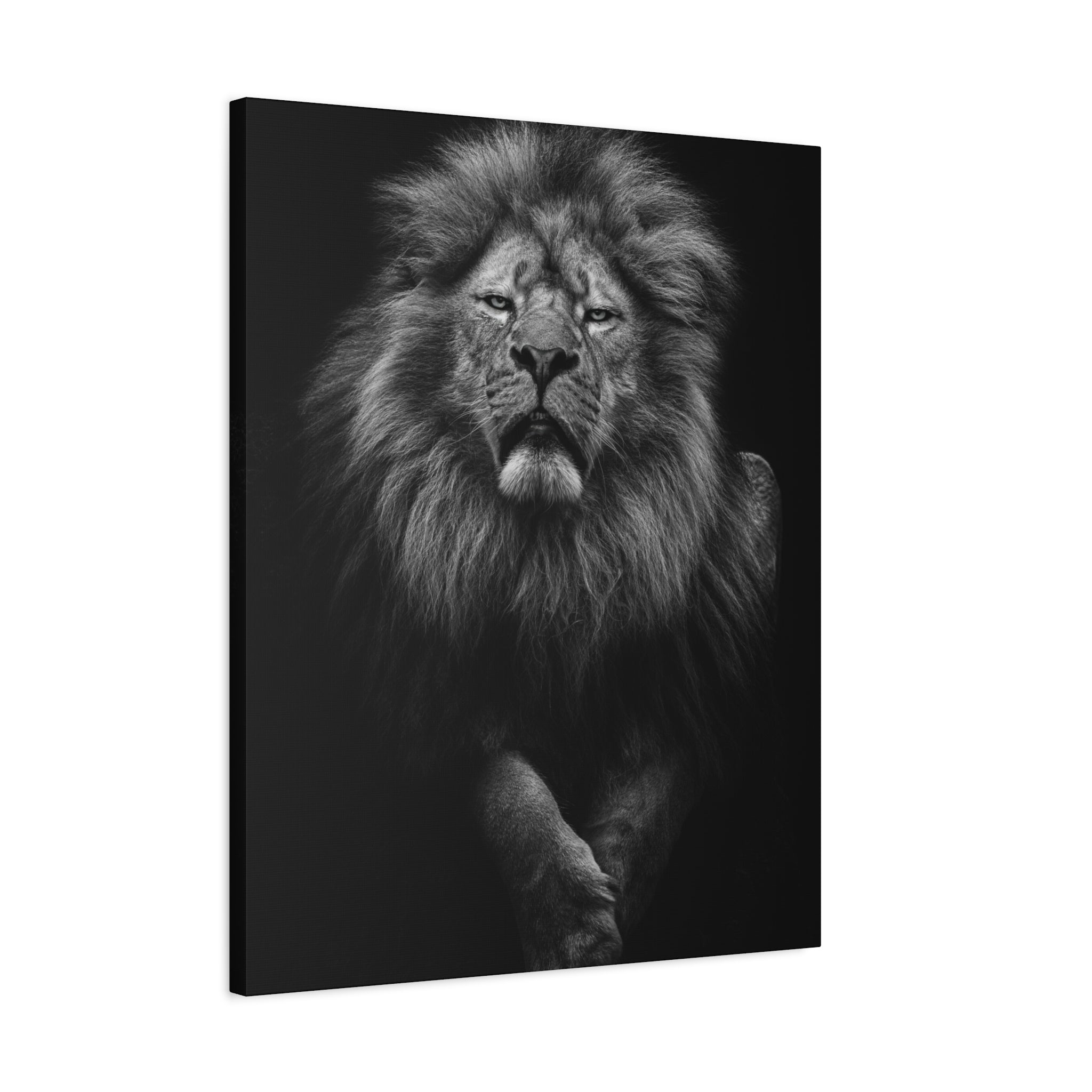 canvas-print-lion-wall-art-black-and-white-living-room-decor-matte-stretched-lion-poster-jungle-animal-art-print-wildlife-saf