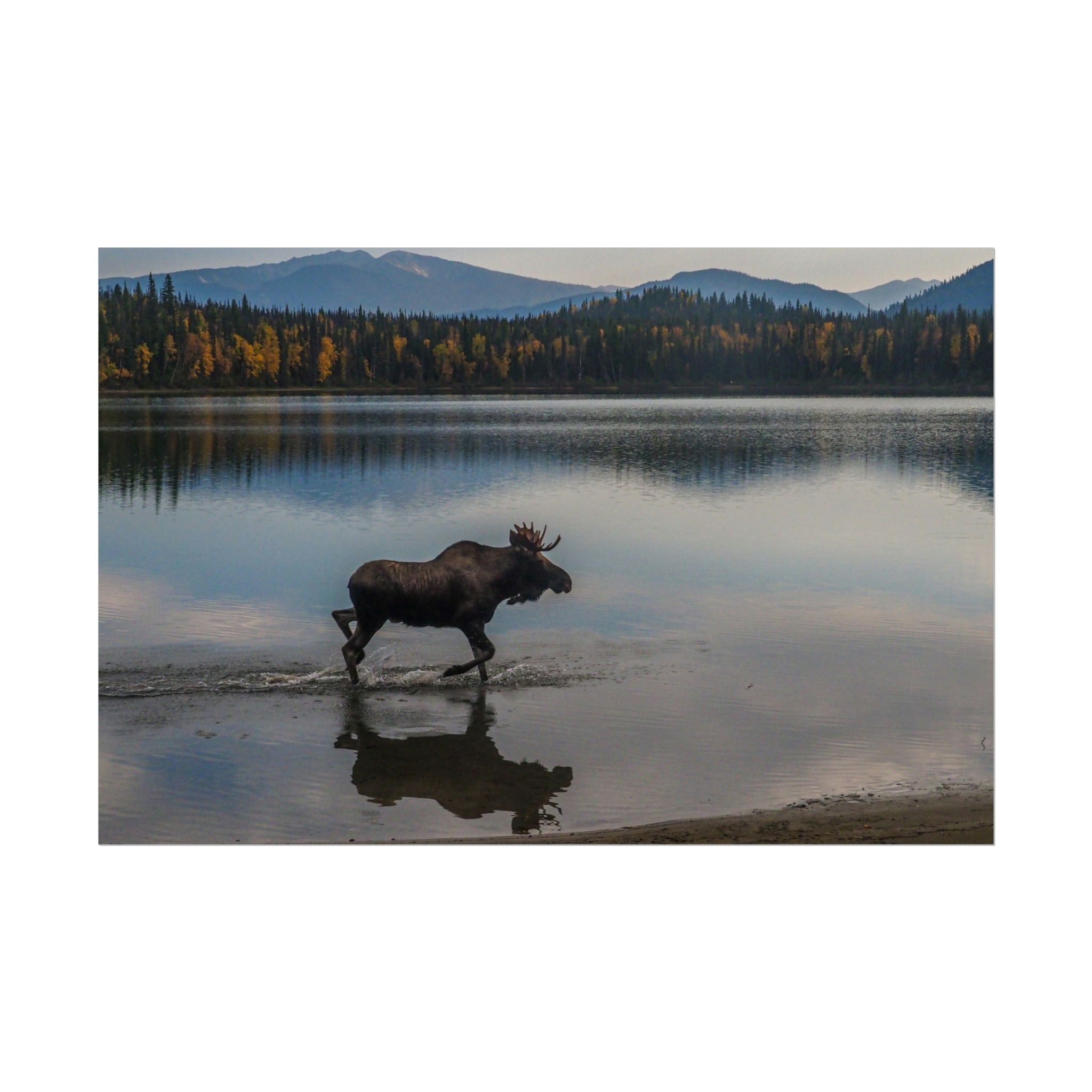 rustic-moose-poster-wall-decor-cabin-lodge-wildlife-painting-nature-home-decor-wilderness-animal-poster-farmhouse-wall-art