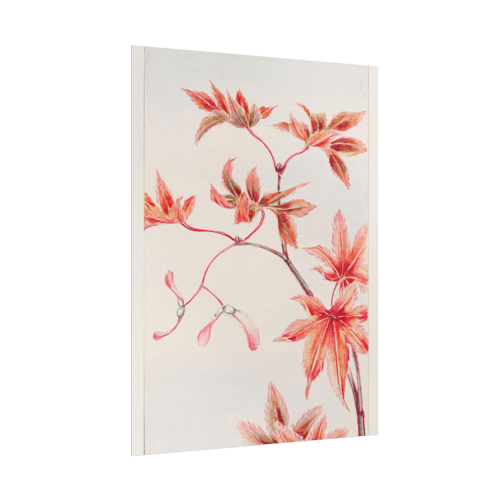 poster-print-branch-of-momiji-maple-tree-with-leaves-floral-wall-art-rolled-posters-wall-decor-room-decoration-nature-art-bot