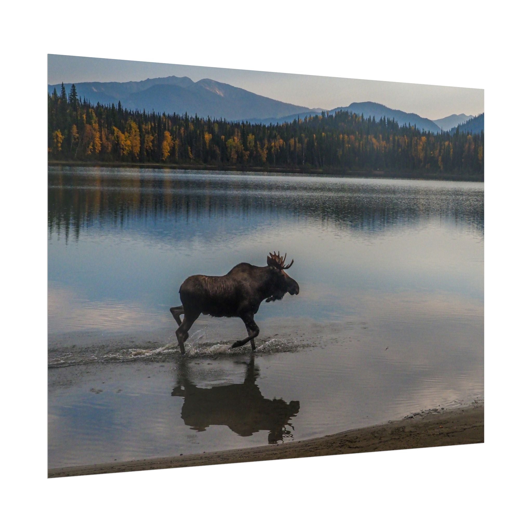 rustic-moose-poster-wall-decor-cabin-lodge-wildlife-painting-nature-home-decor-wilderness-animal-poster-farmhouse-wall-art