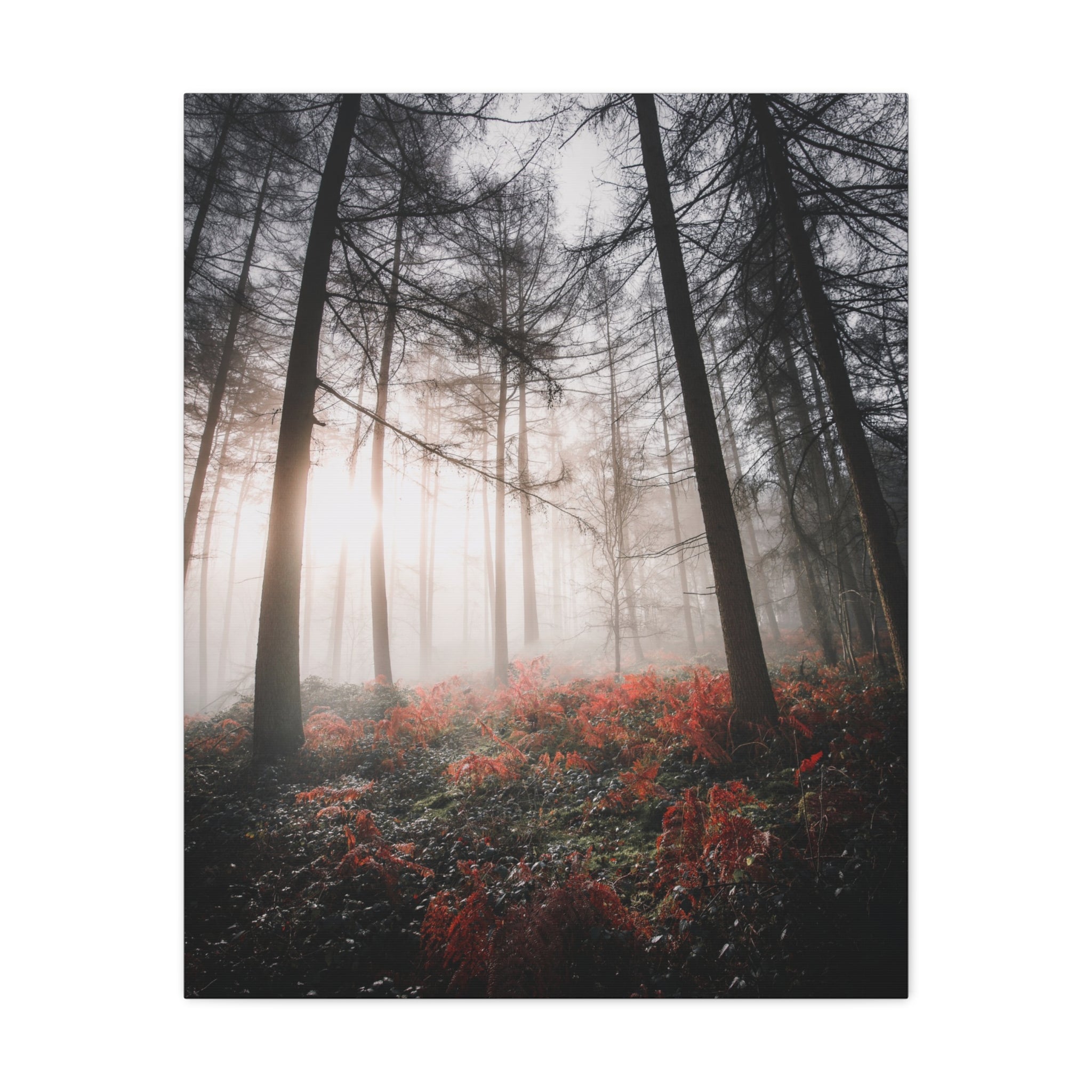 canvas-print-misty-woods-art-living-room-wall-decor-sunlight-forest-landscape-aesthetic-nature-art-stretched-artwork-matte-ca