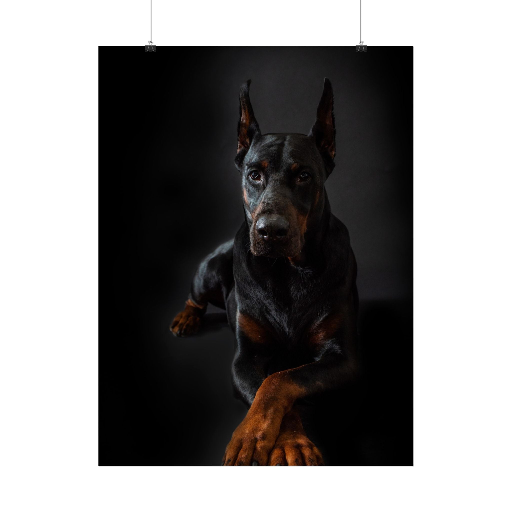 doberman-pincher-poster-print-rolled-posters-wall-art-home-decor-dog-lover-gift-animal-art-room-decoration