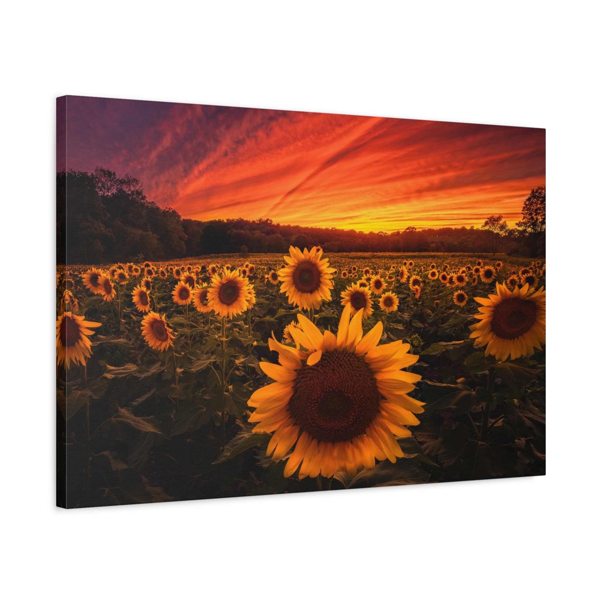 canvas-print-sun-flower-sunset-wall-art-decor-home-decor-nature-art-floral-print-gift-for-nature-lovers-farmhouse-wall-decor